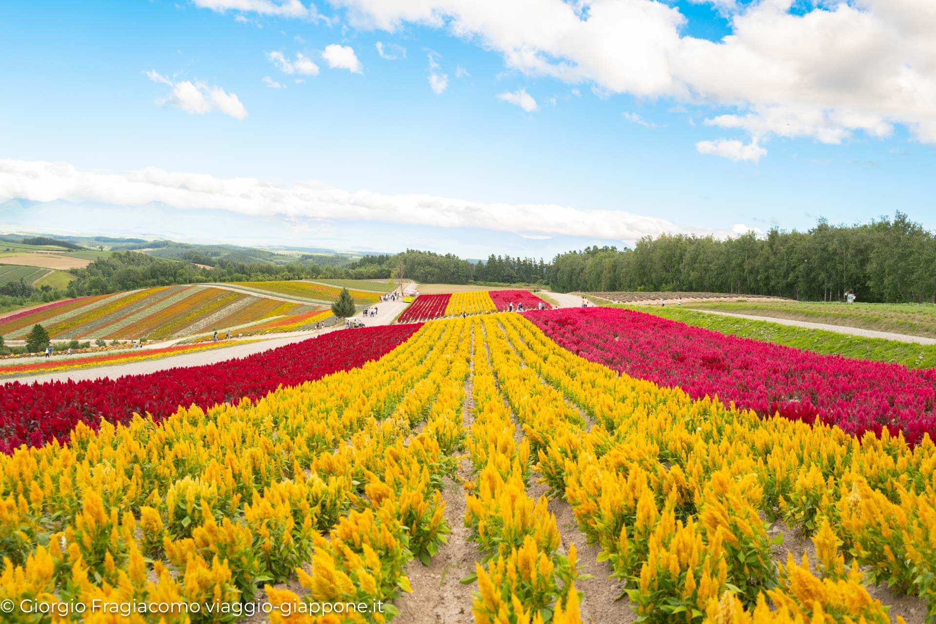 Biei Hokkaido 1110348