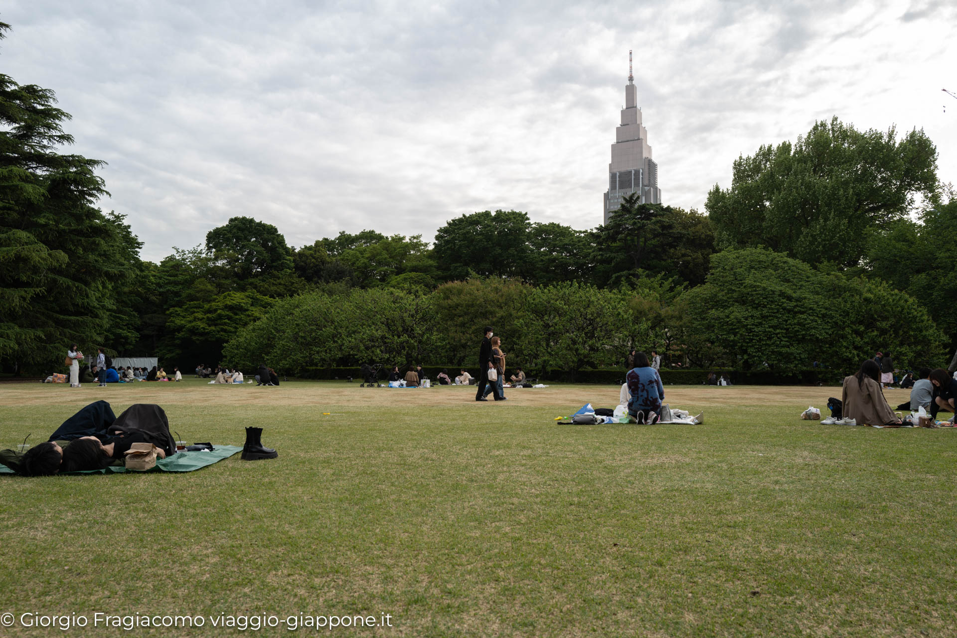 Gyoen Park Shinjuku Tokyo 1000005