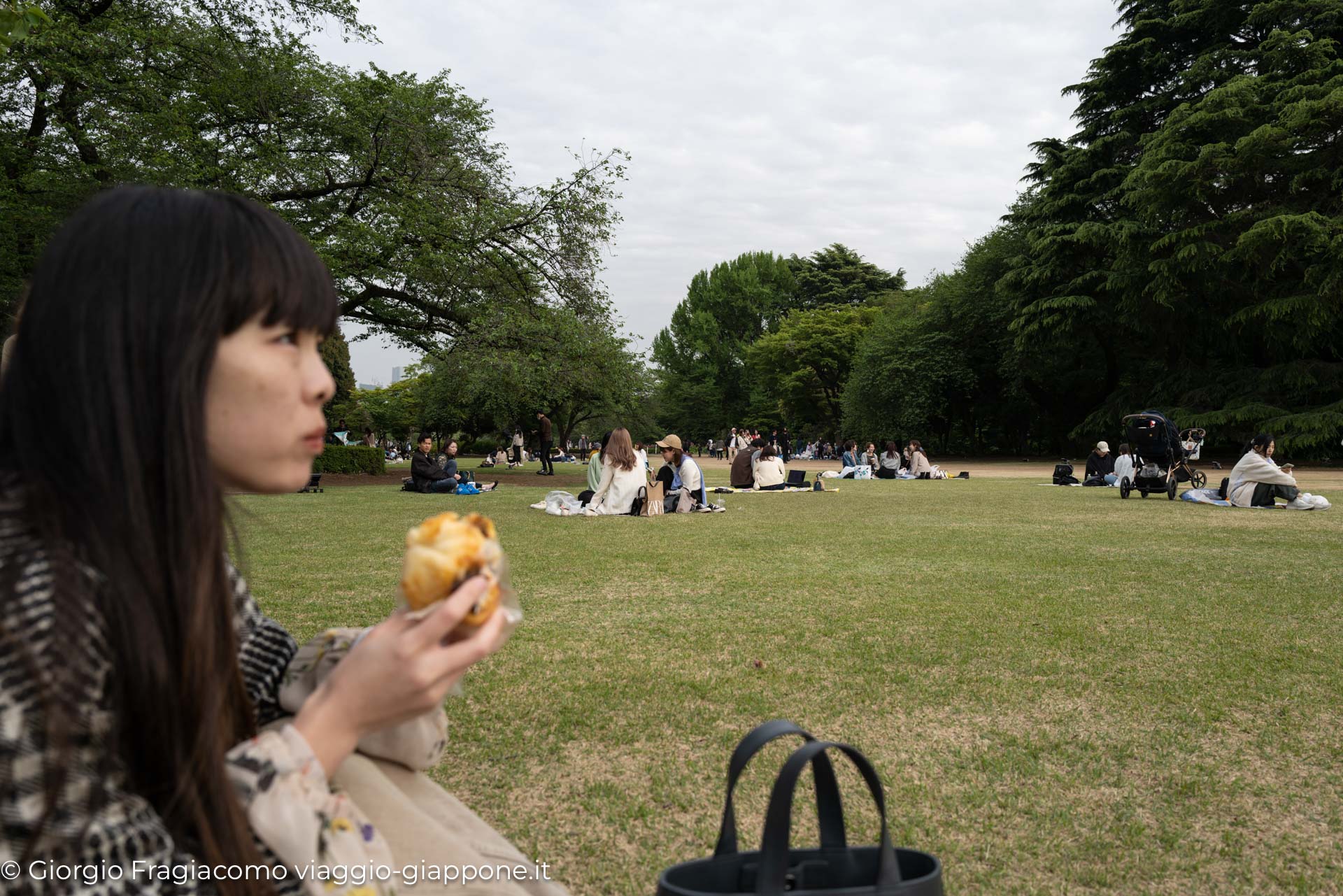 Gyoen Park Shinjuku Tokyo 1000007