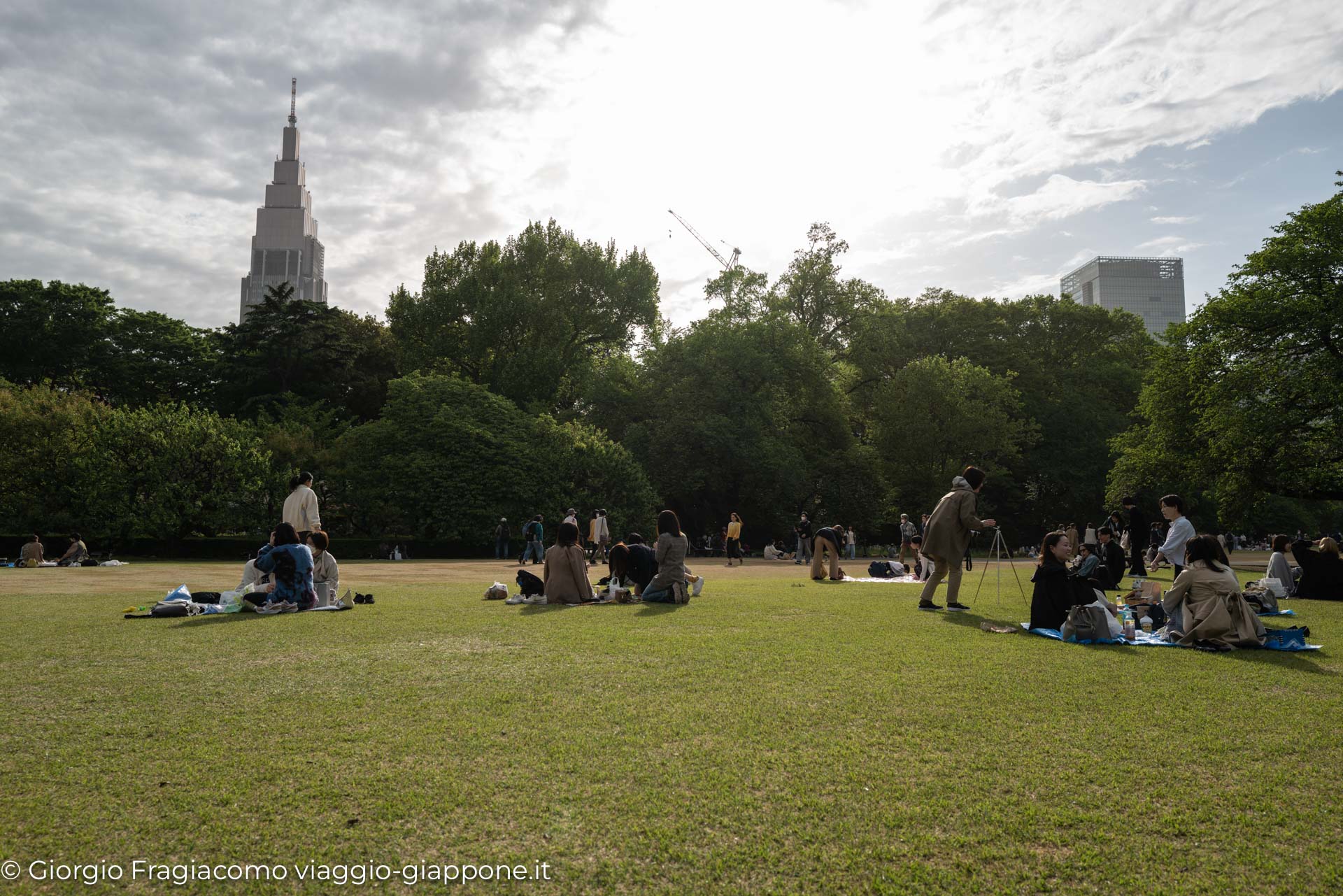 Gyoen Park Shinjuku Tokyo 1000008