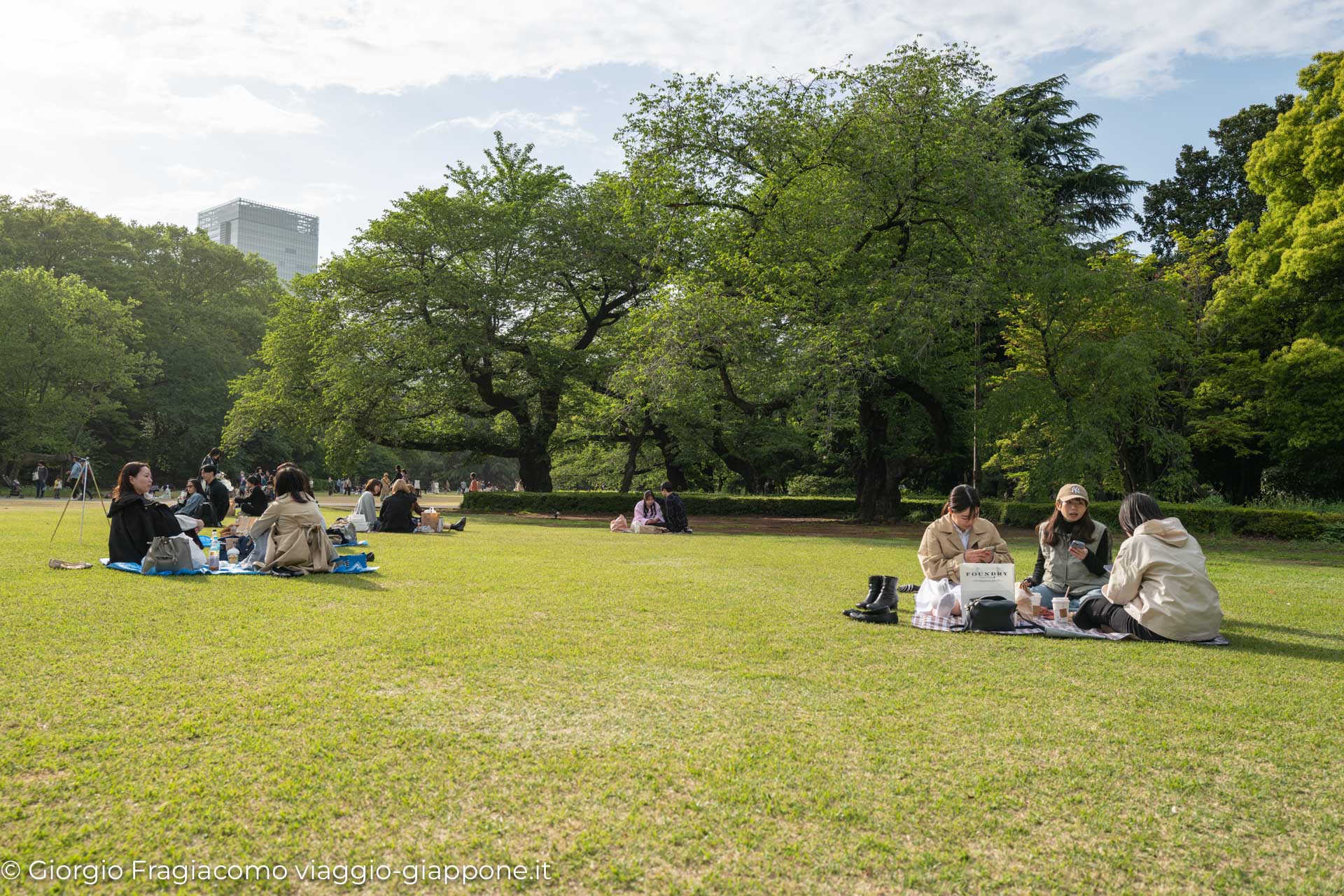 Gyoen Park Shinjuku Tokyo 1000012