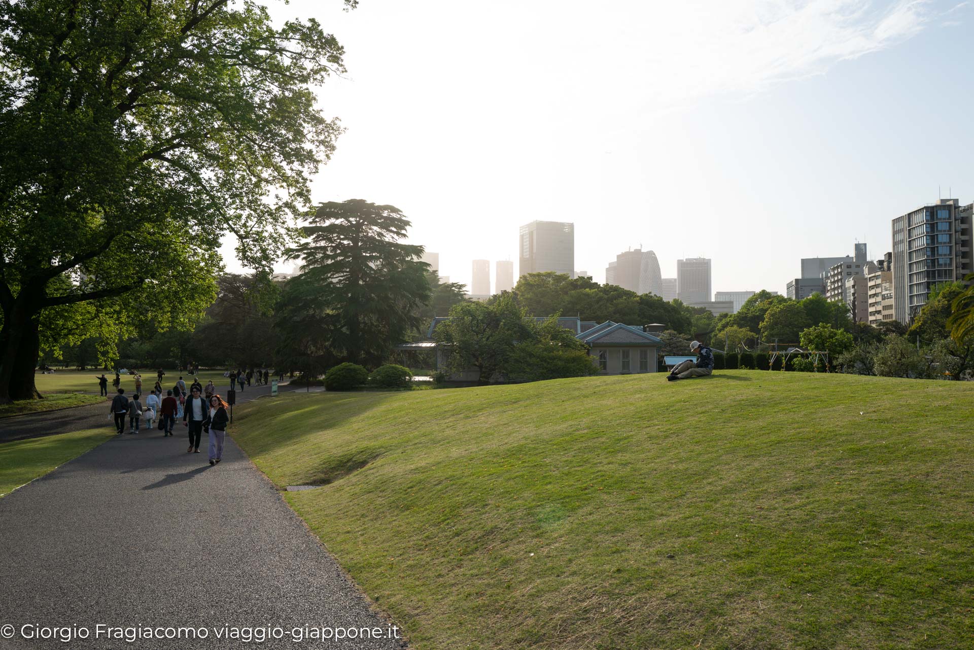 Gyoen Park Shinjuku Tokyo 1000013