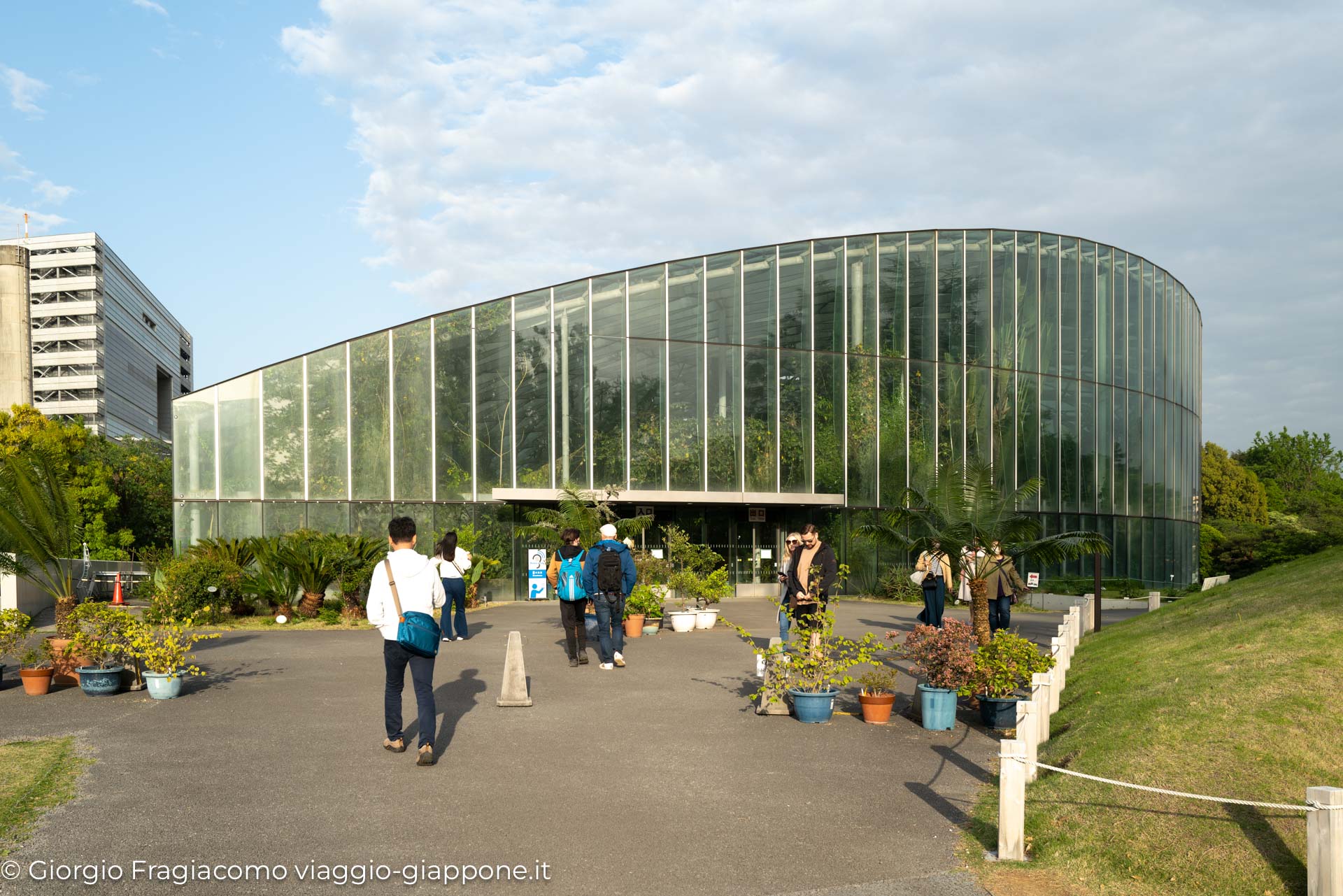 Gyoen Park Shinjuku Tokyo 1000015