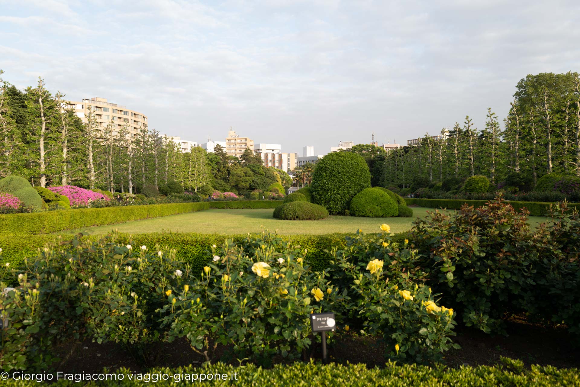 Gyoen Park Shinjuku Tokyo 1000020