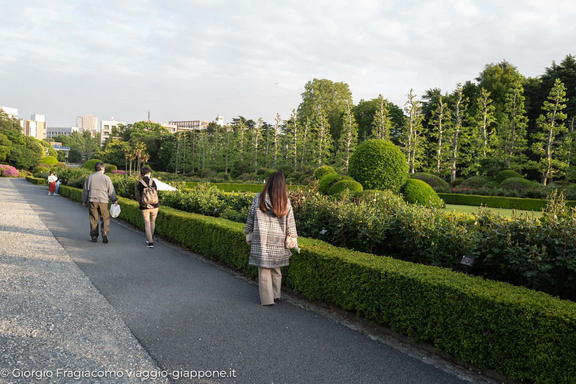 Gyoen Park Shinjuku Tokyo 1000022