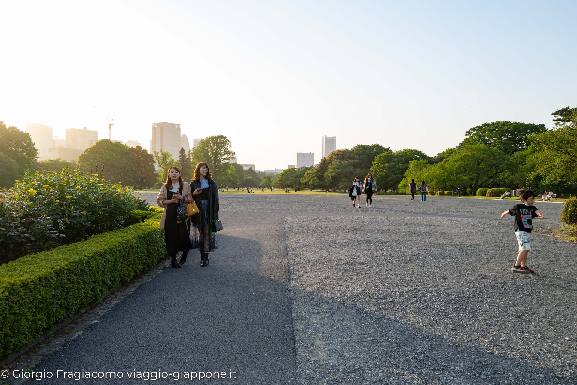 Gyoen Park Shinjuku Tokyo 1000023