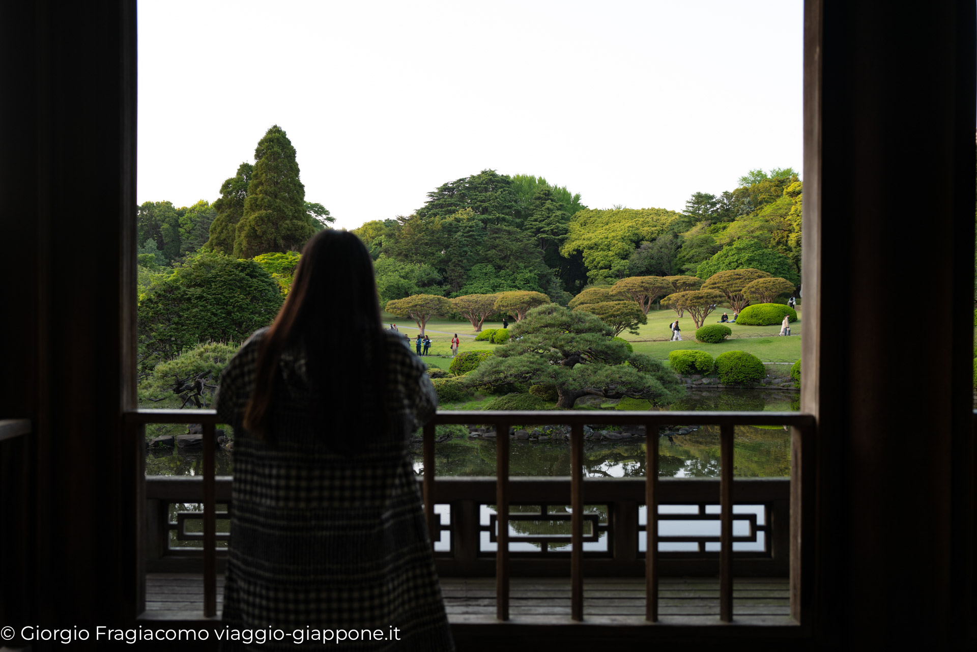 Gyoen Park Shinjuku Tokyo 1000041