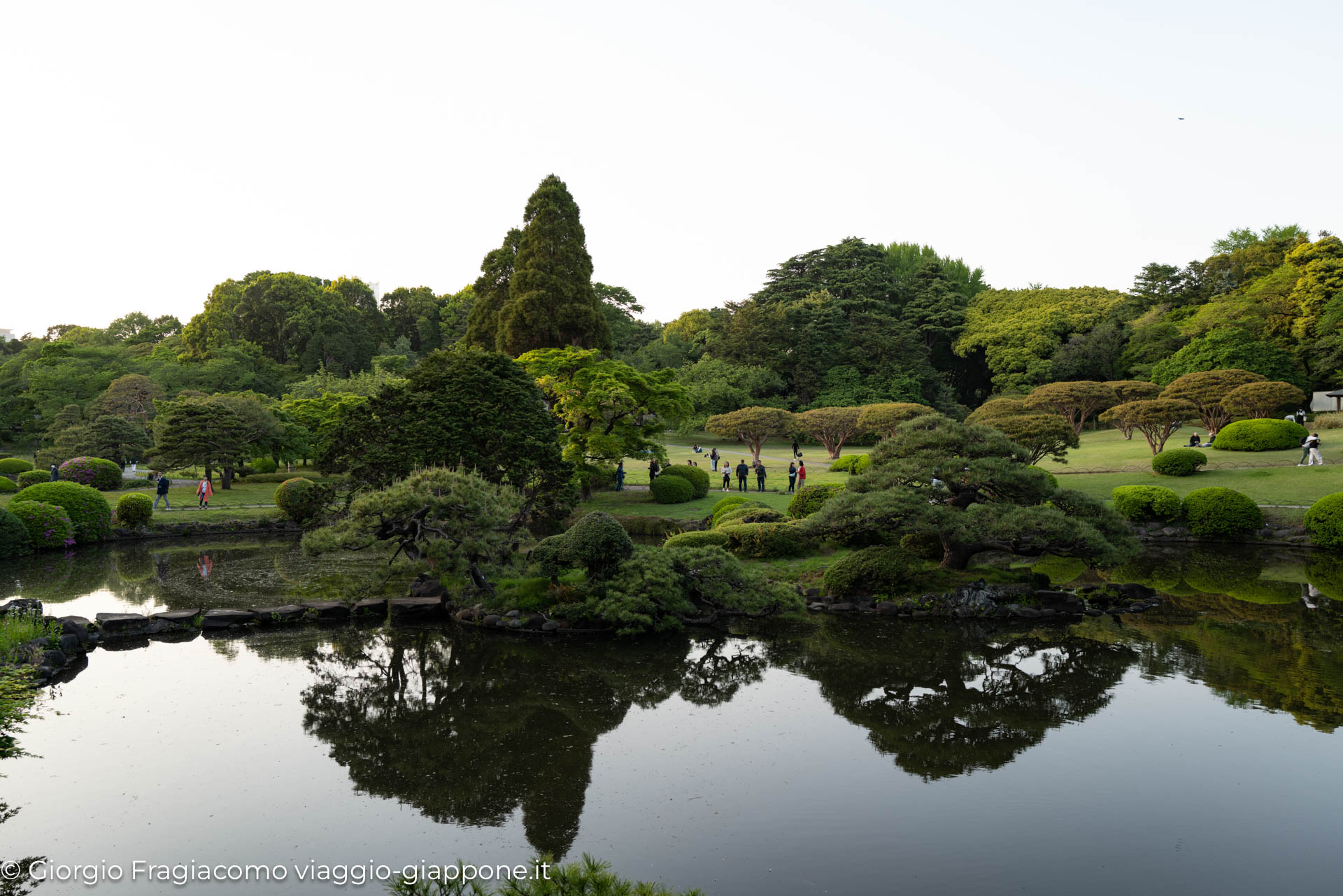 Gyoen Park Shinjuku Tokyo 1000042