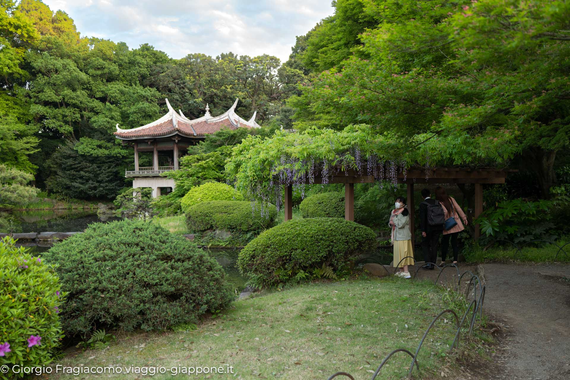 Gyoen Park Shinjuku Tokyo 1000049