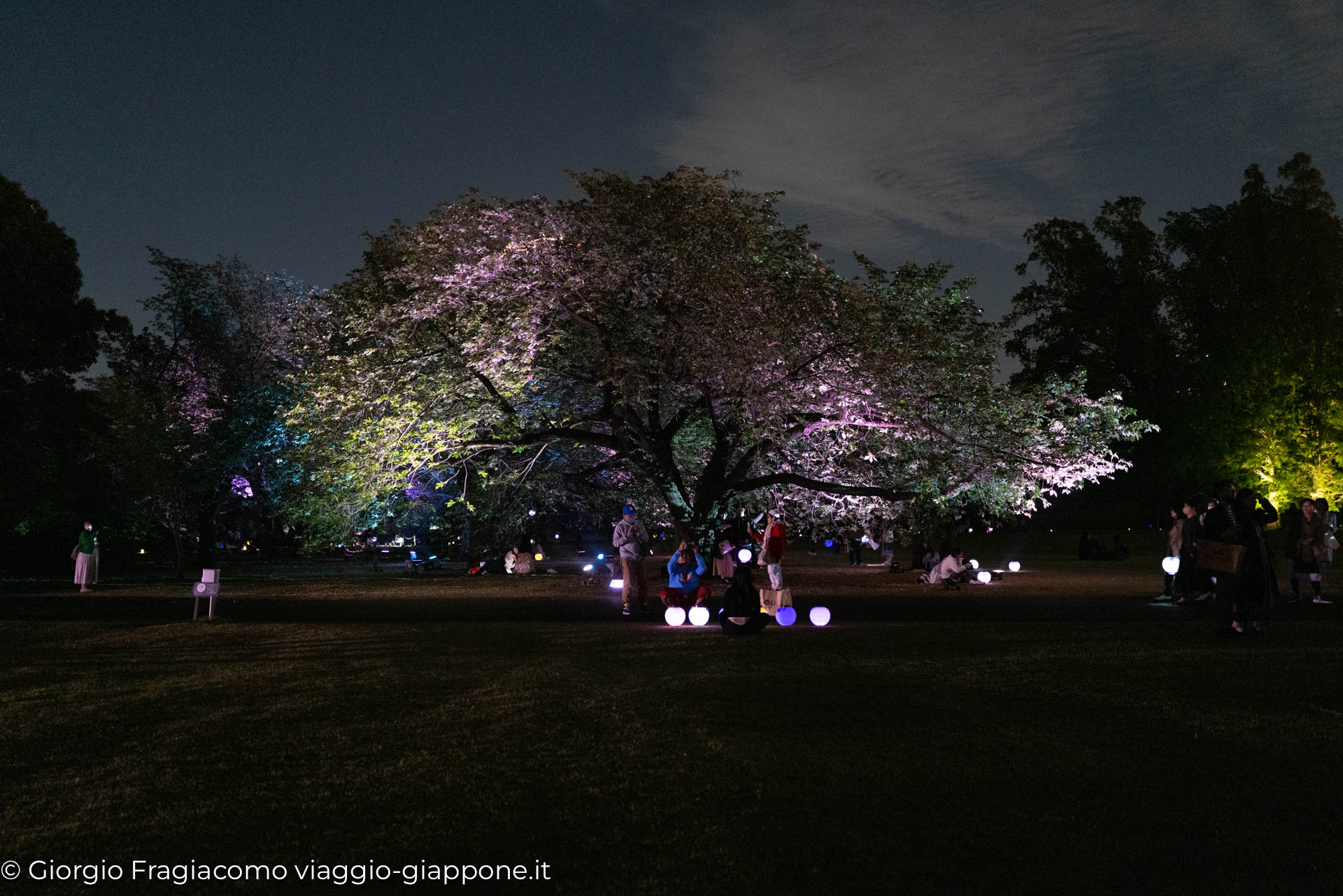 Gyoen Park Shinjuku Tokyo Naked visual art installation 1000084