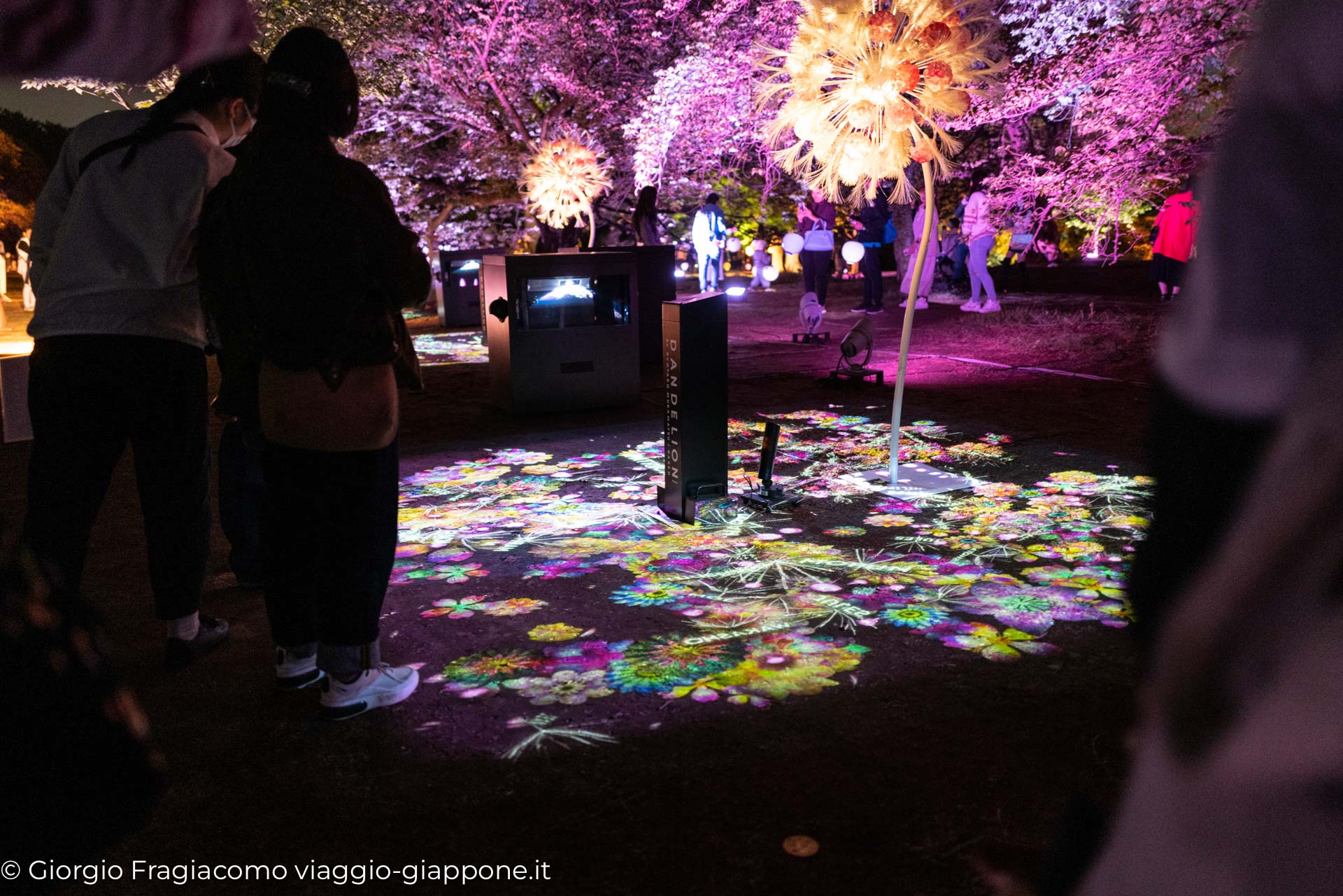 Gyoen Park Shinjuku Tokyo Naked visual art installation 1000087