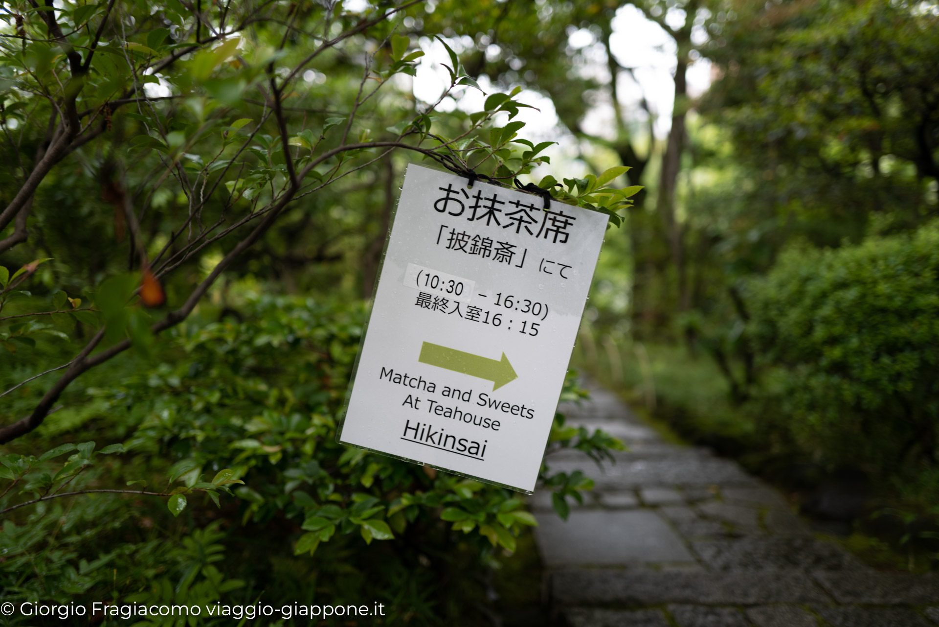 Nezu Museum 1000804