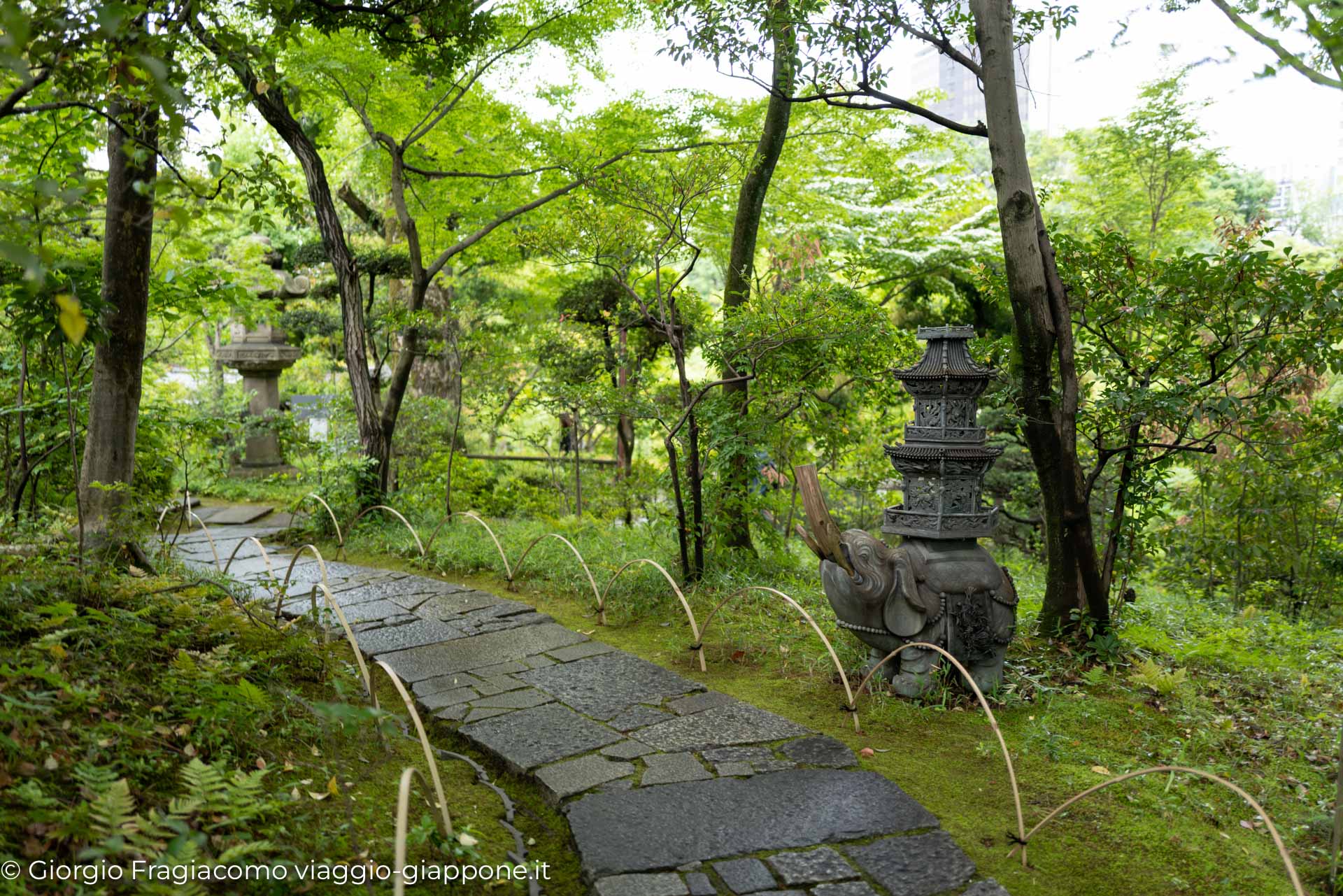 Nezu Museum 1000805