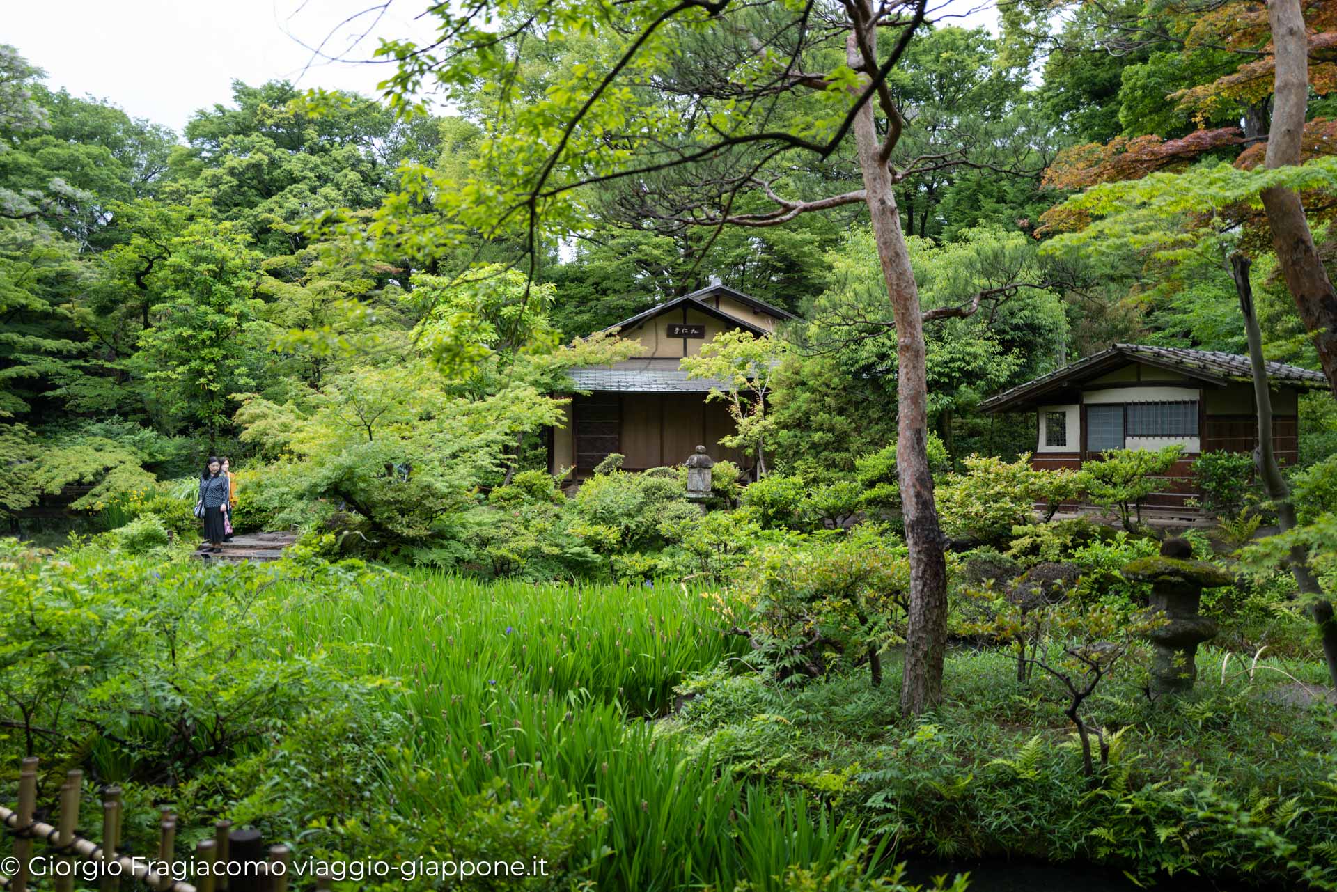 Nezu Museum 1000818