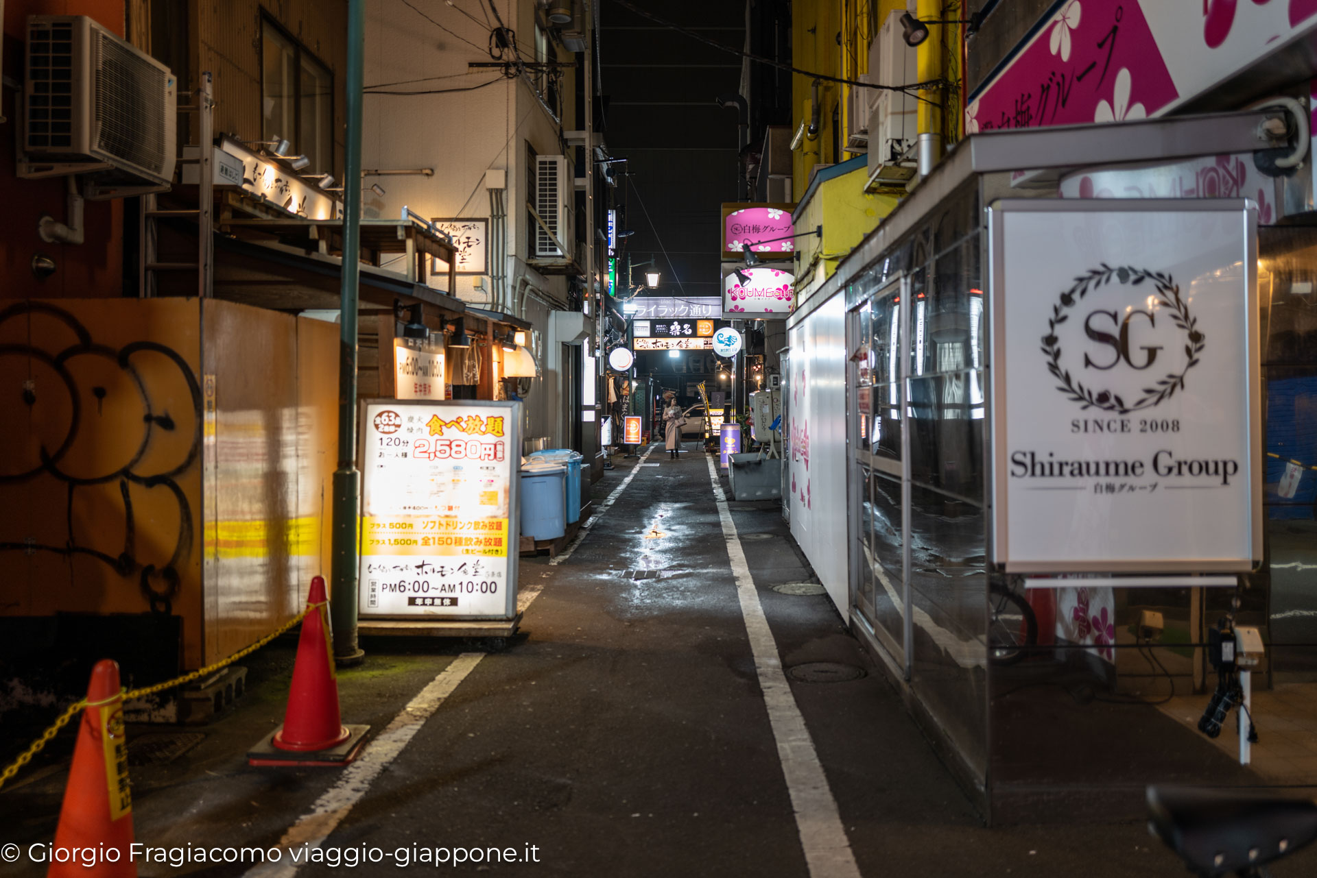 Sapporo Susukino district 1041240