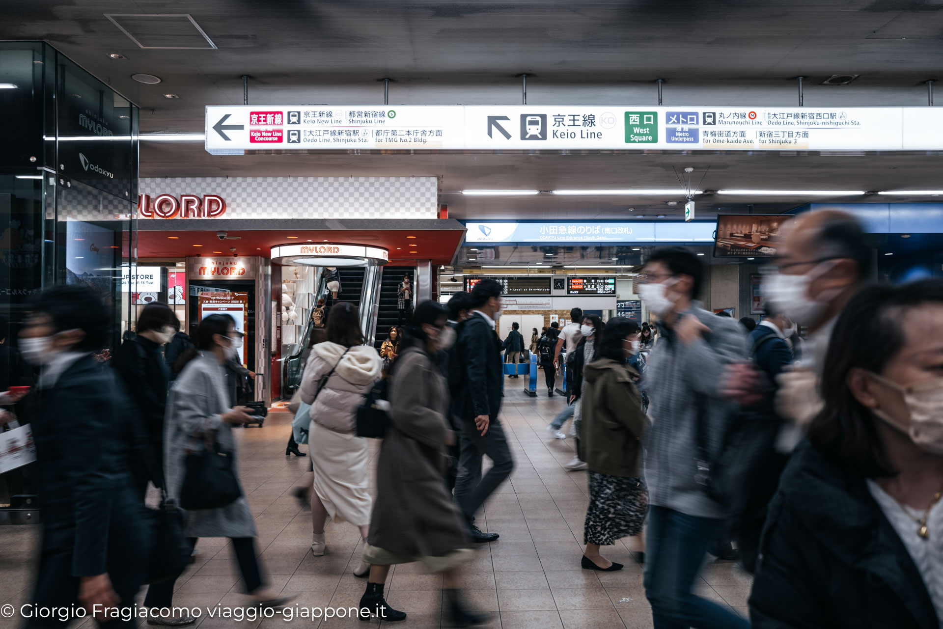 Shinjuku 1040173