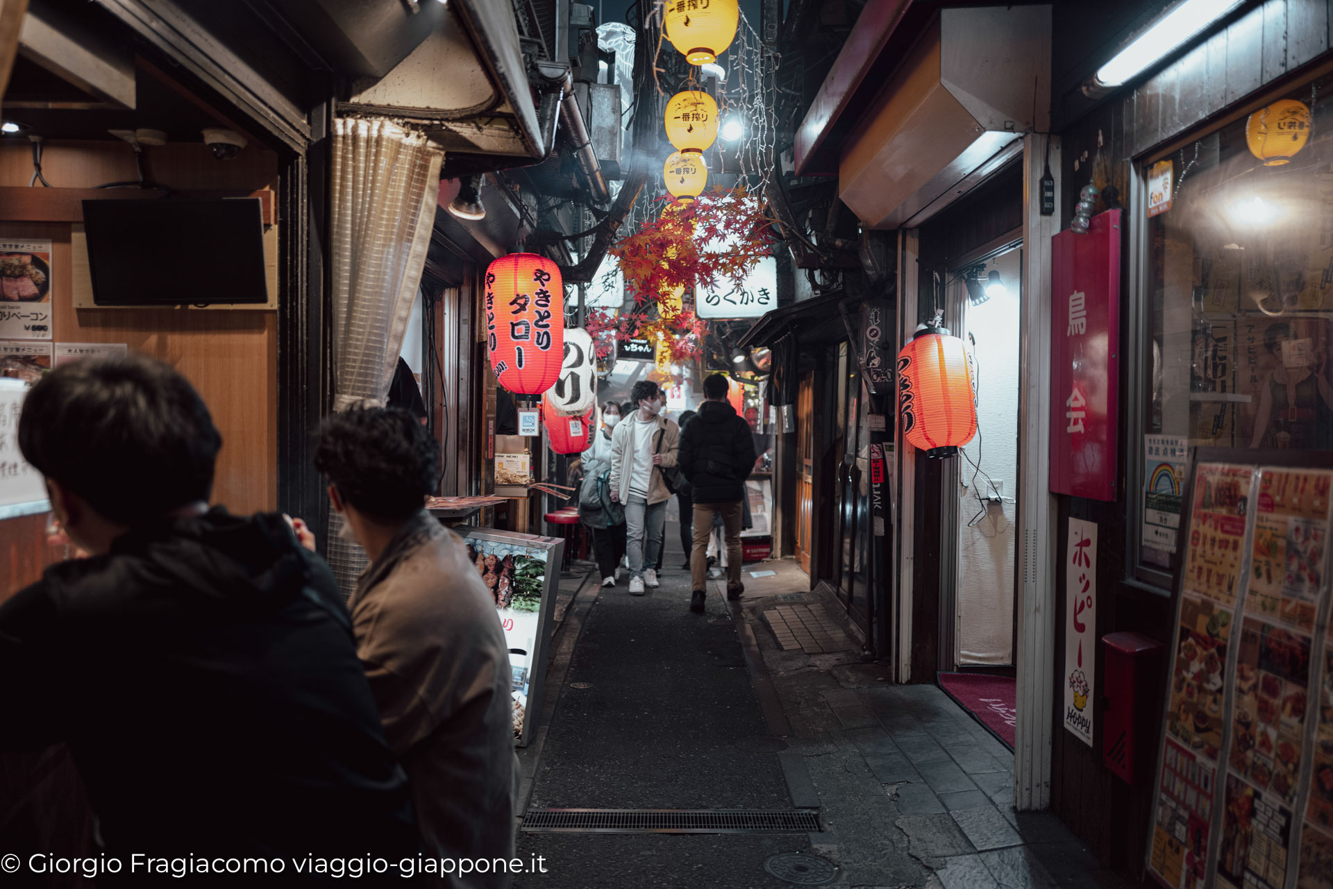 Shinjuku 1040221