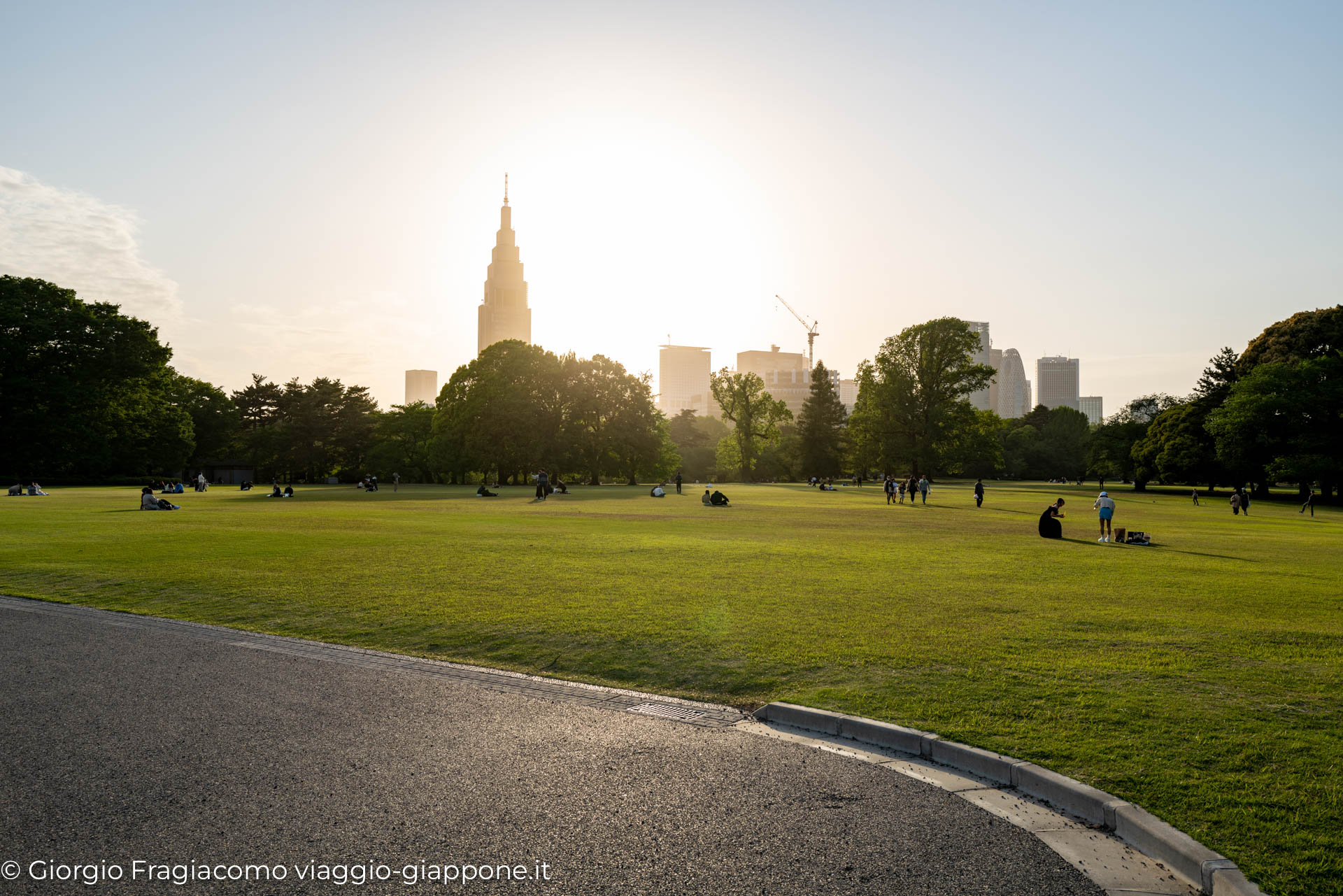 Shinjuku Gyoen – Central Park