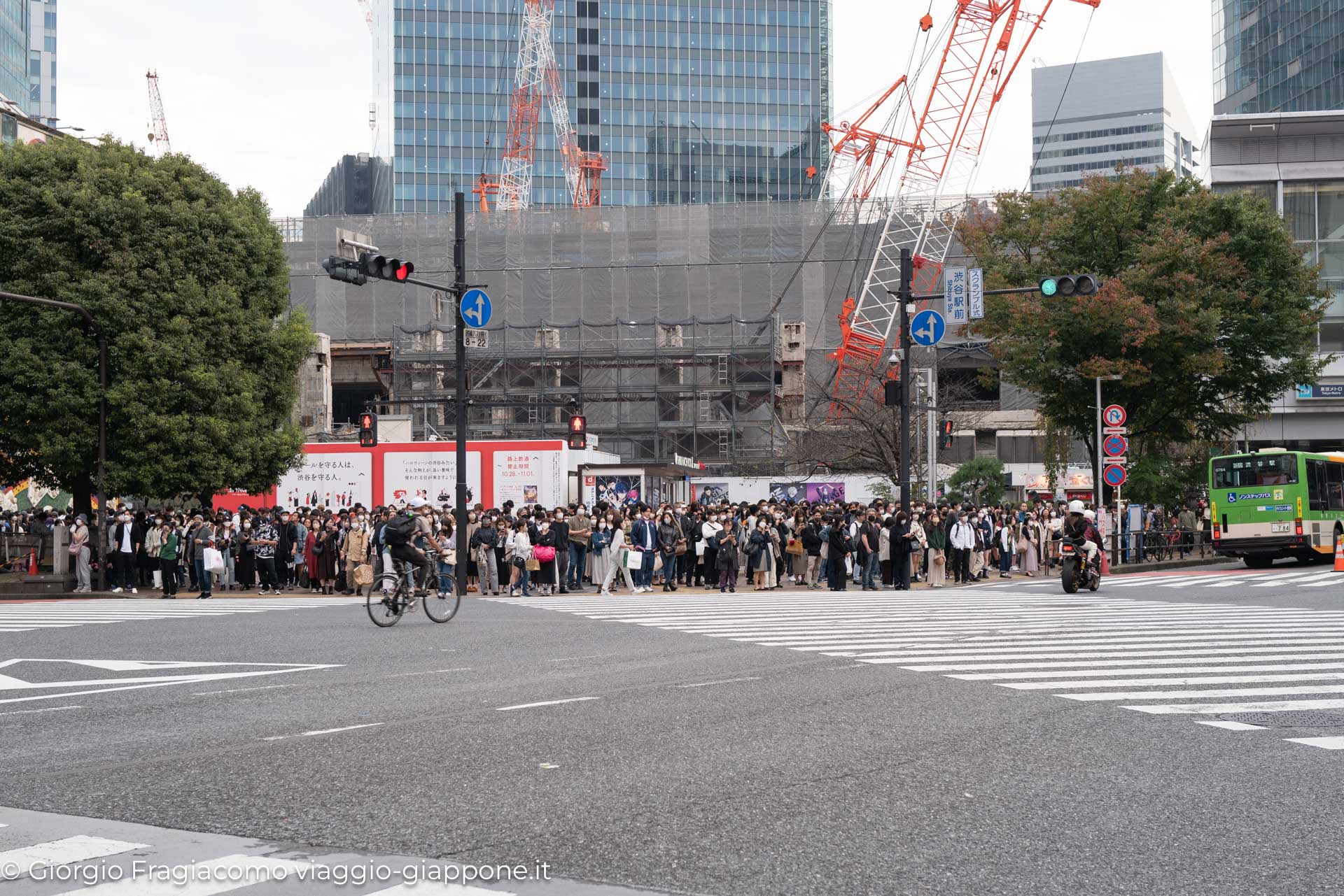 shibuya 1030576