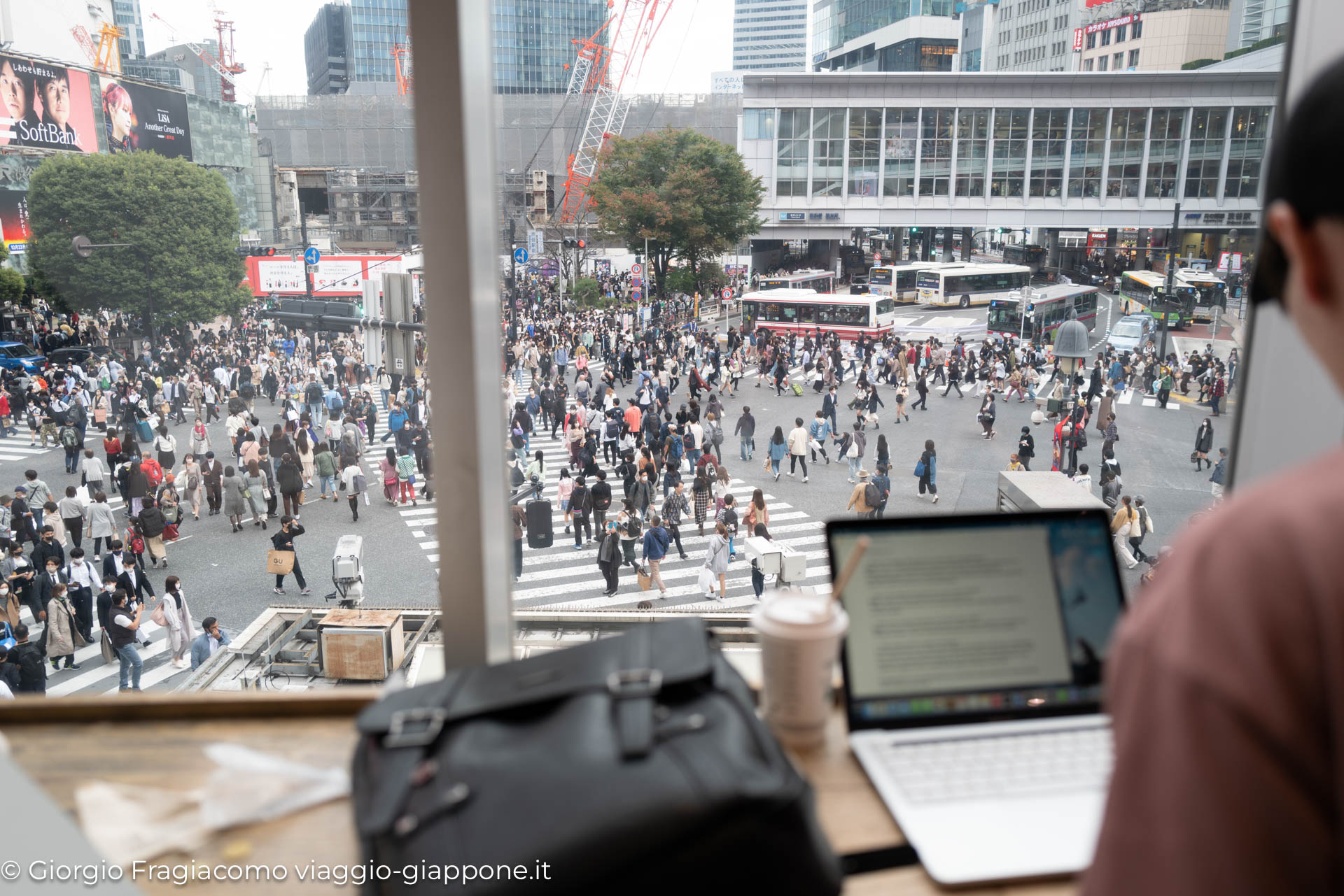 shibuya 1030583