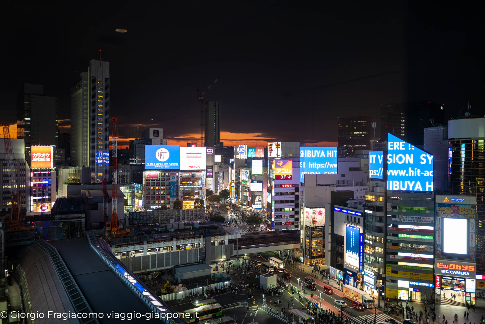 shibuya 1030609