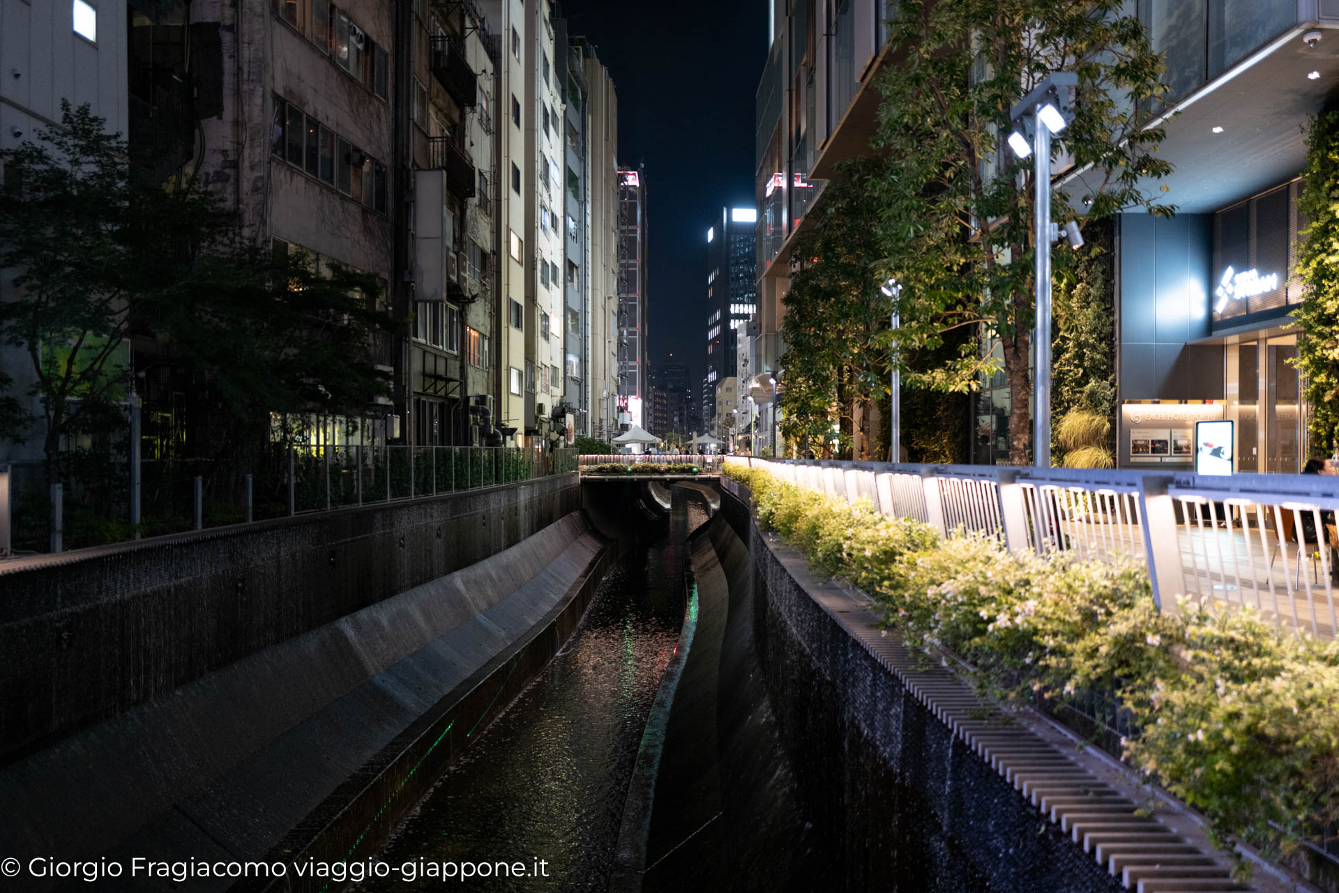 shibuya 1030682