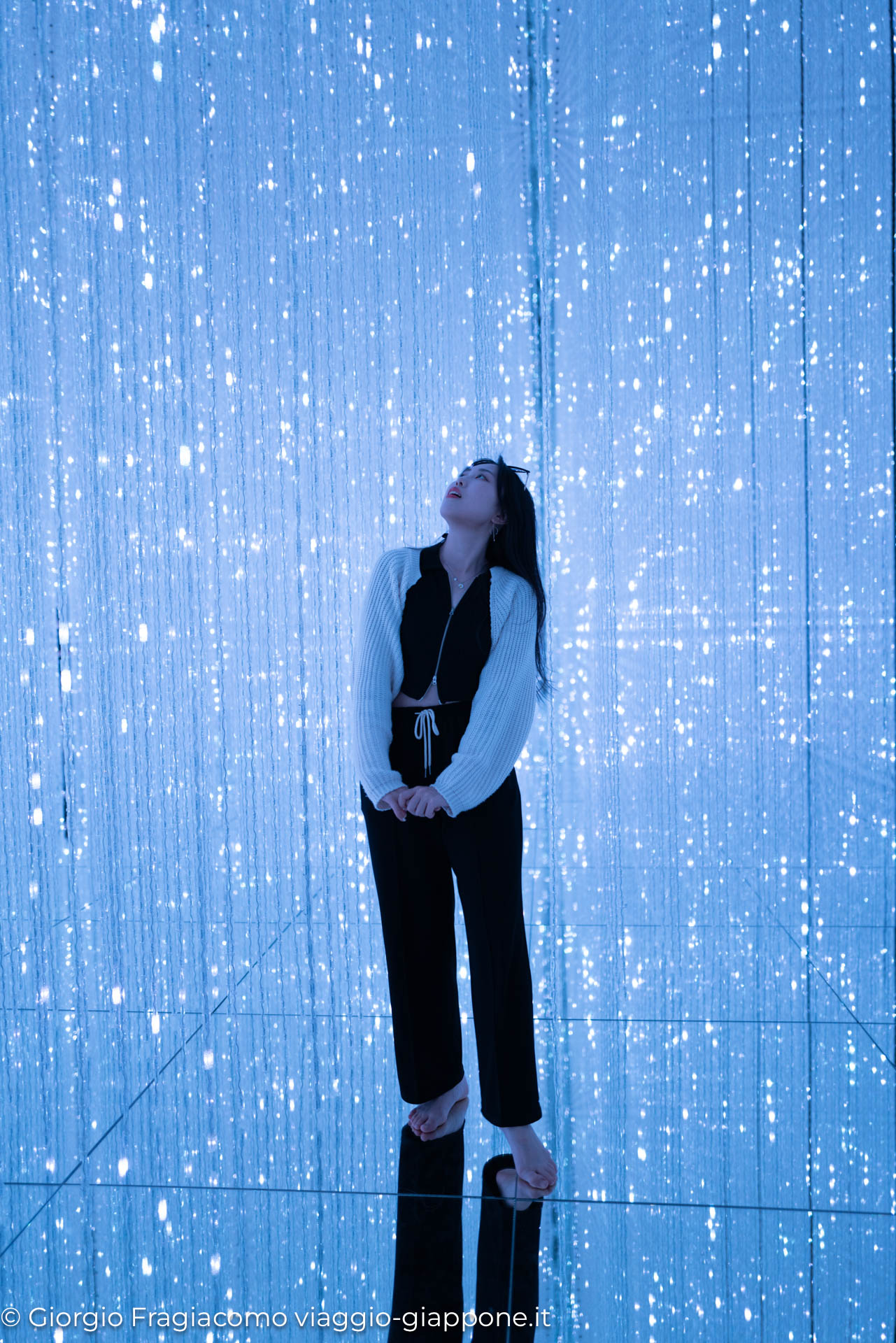 teamLab Planets Tokyo 1090222