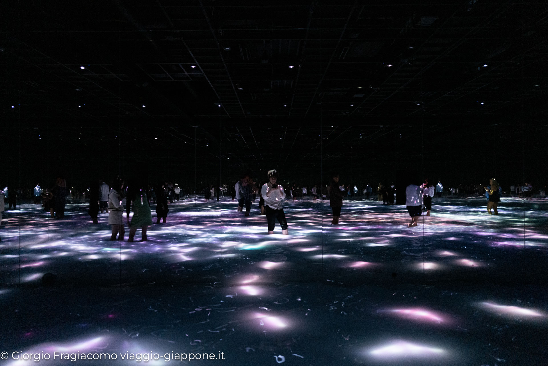 teamLab Planets Tokyo 1090250