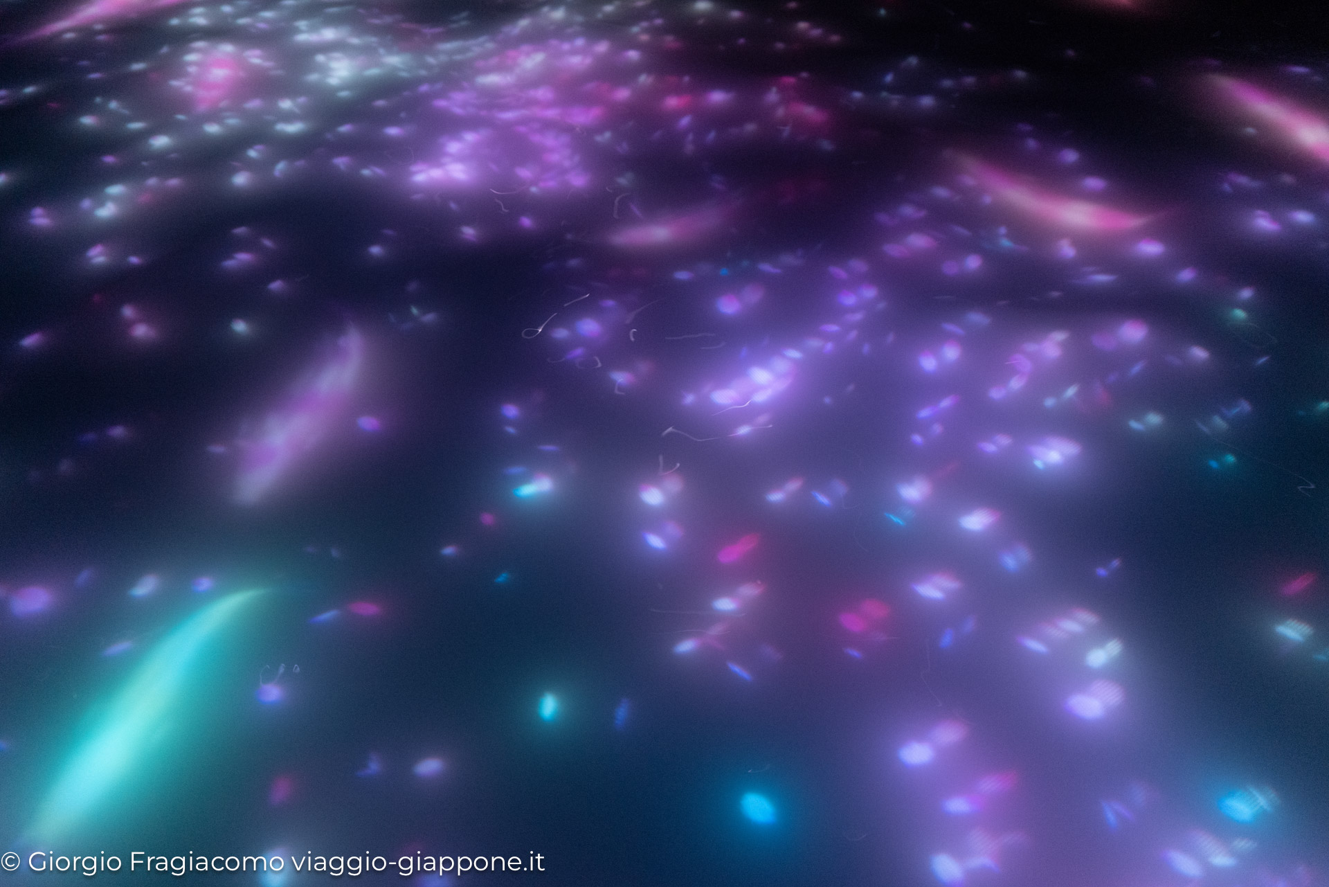 teamLab Planets Tokyo 1090253