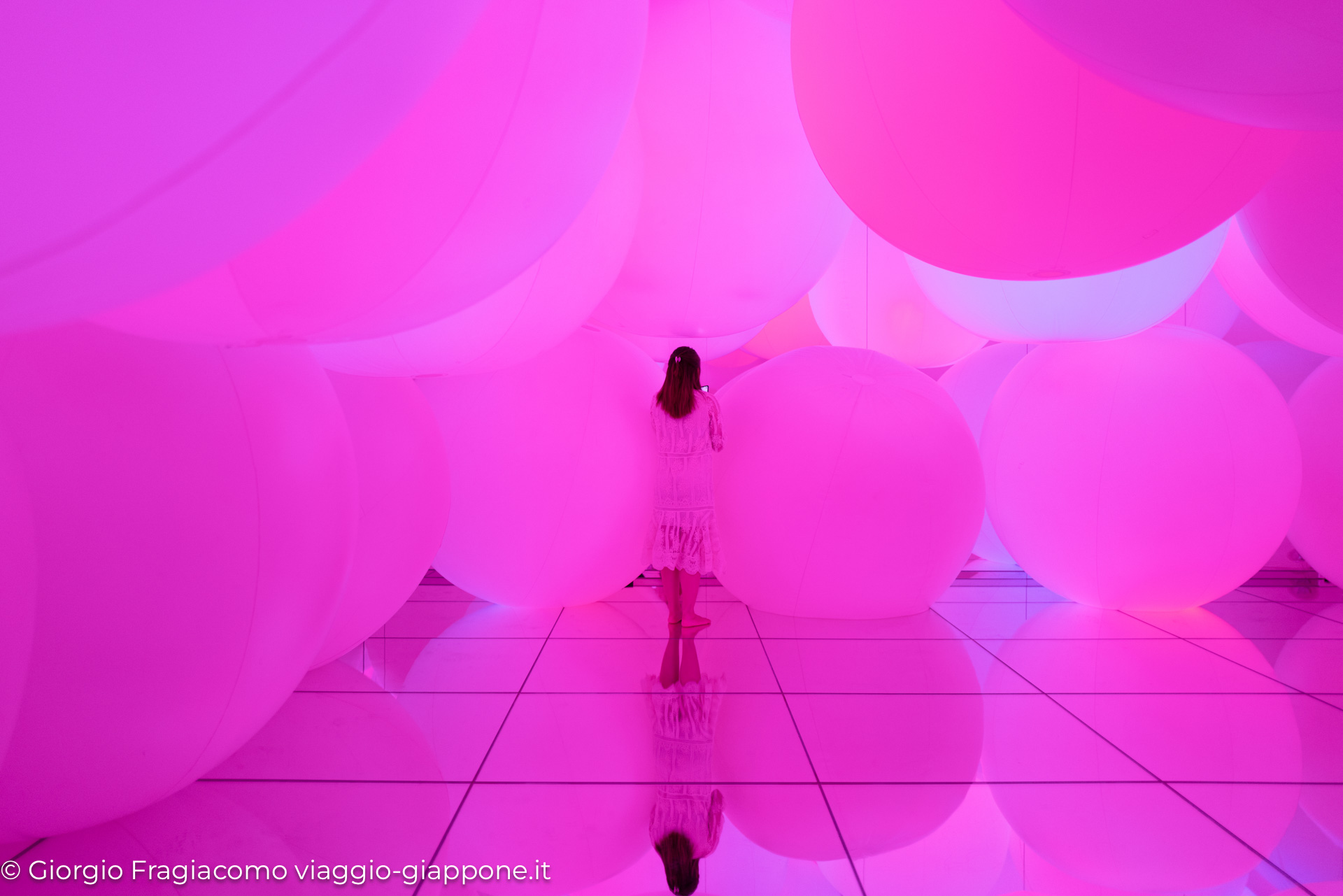 teamLab Planets Tokyo 1090266