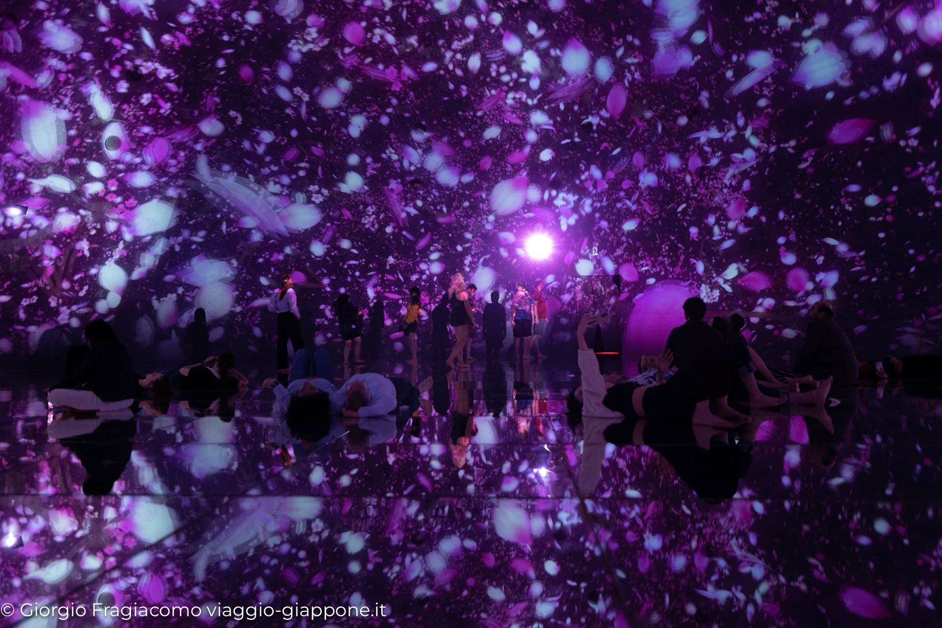 teamLab Planets Tokyo 1090299