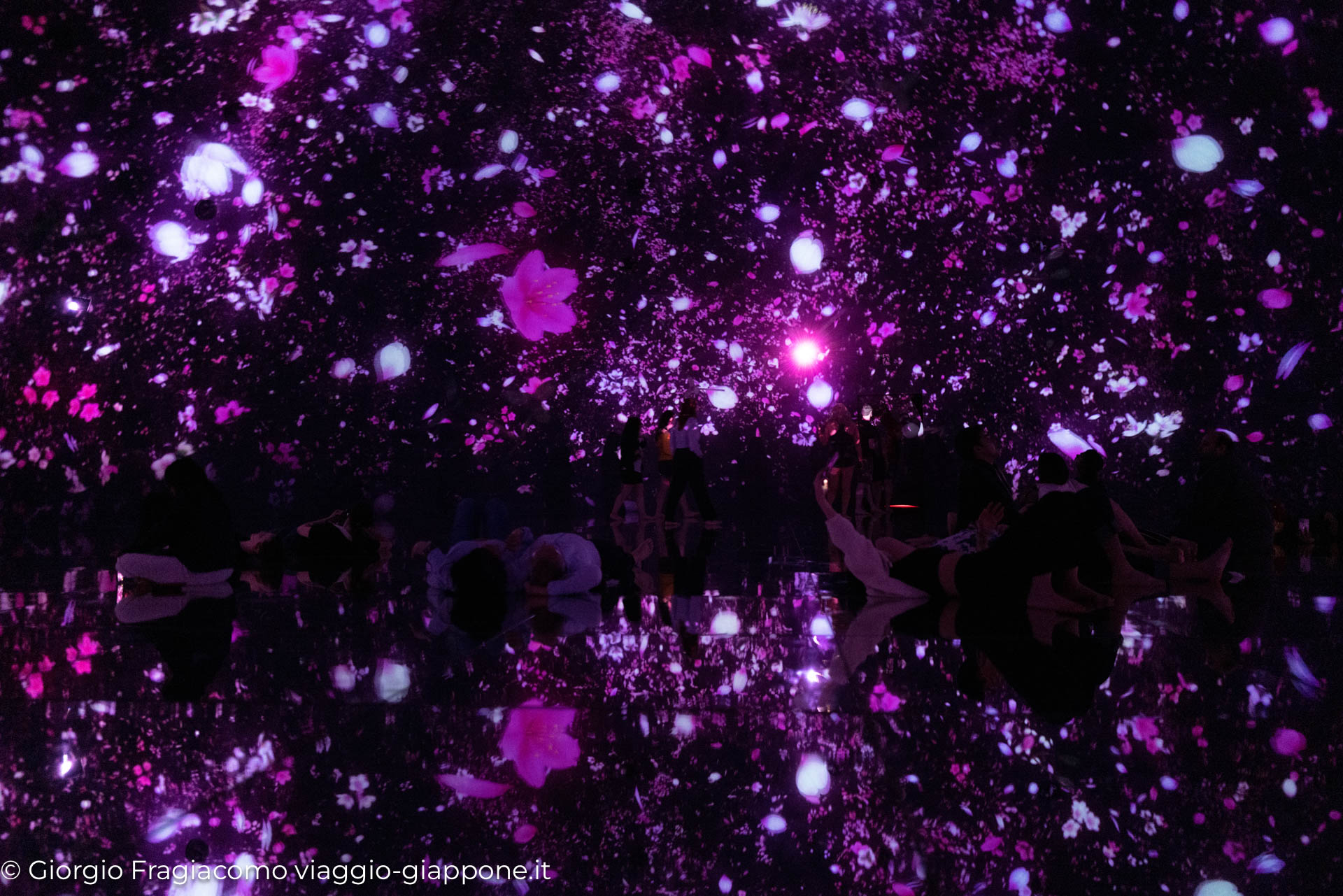 teamLab Planets Tokyo 1090300