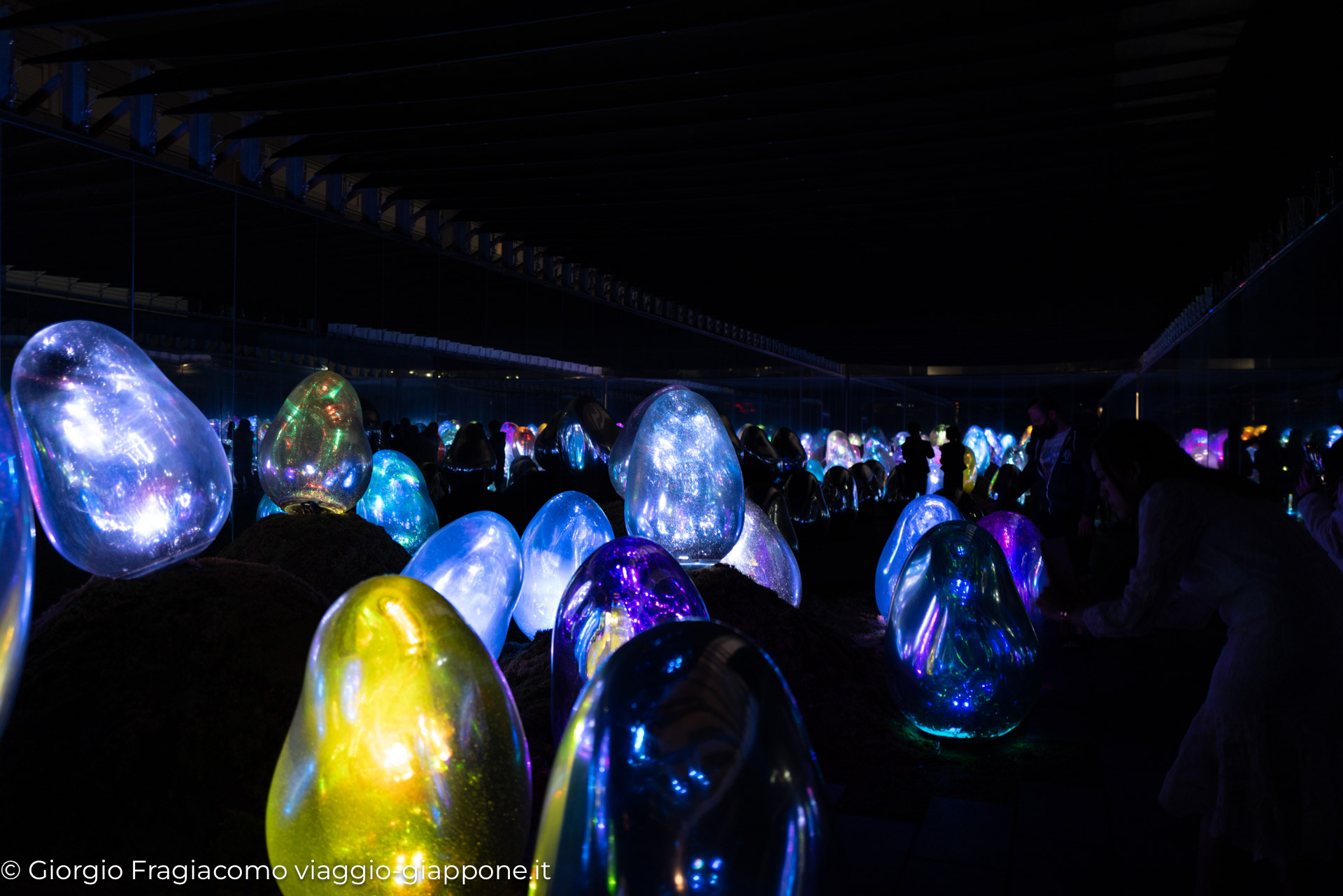 teamLab Planets Tokyo 1090316