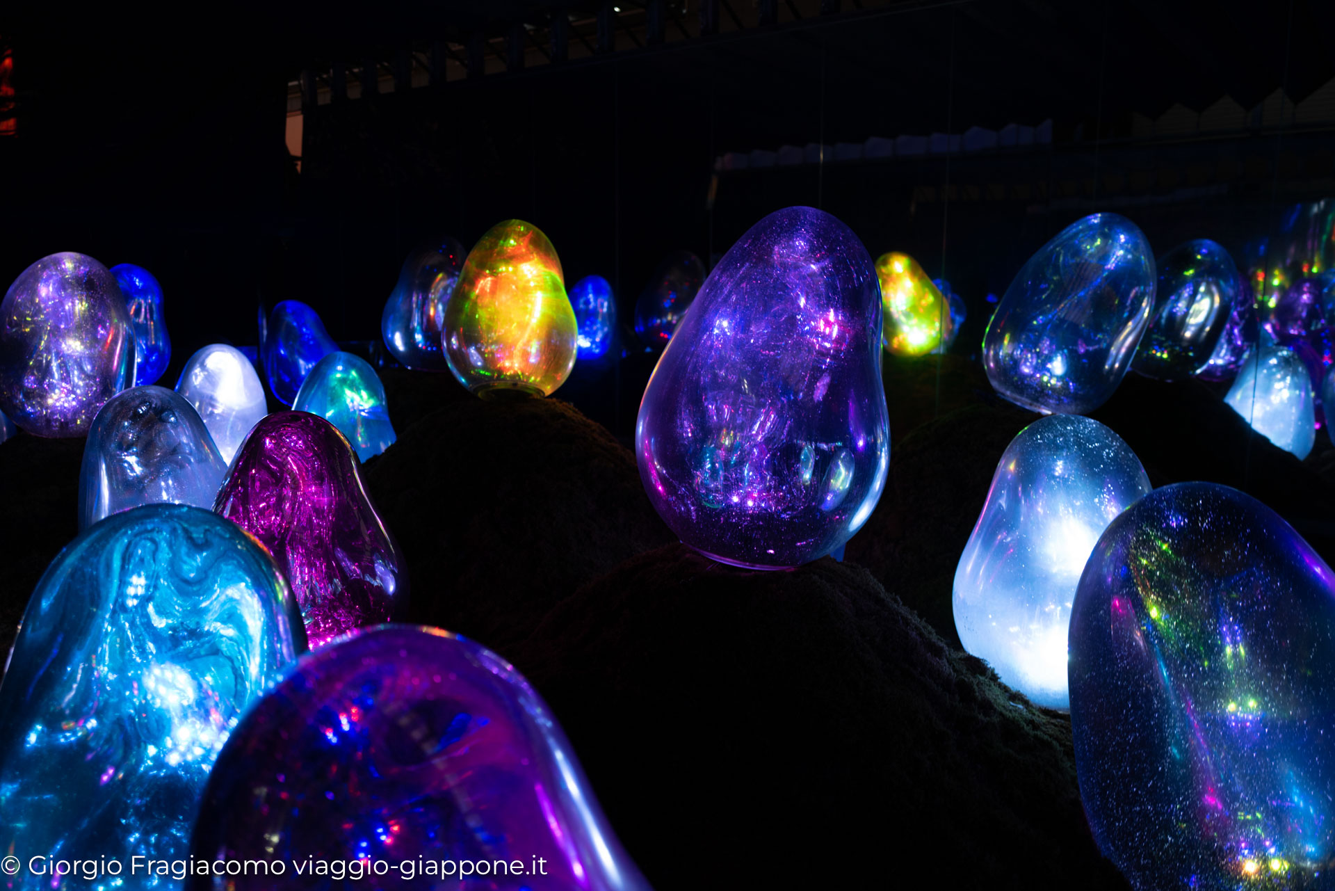 teamLab Planets Tokyo 1090319