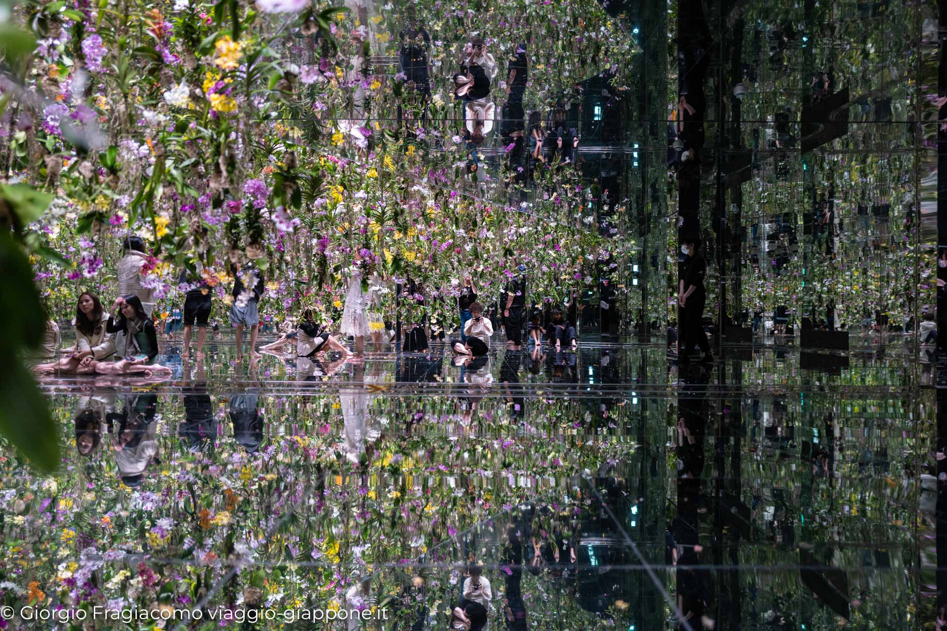 teamLab Planets Tokyo 1090344