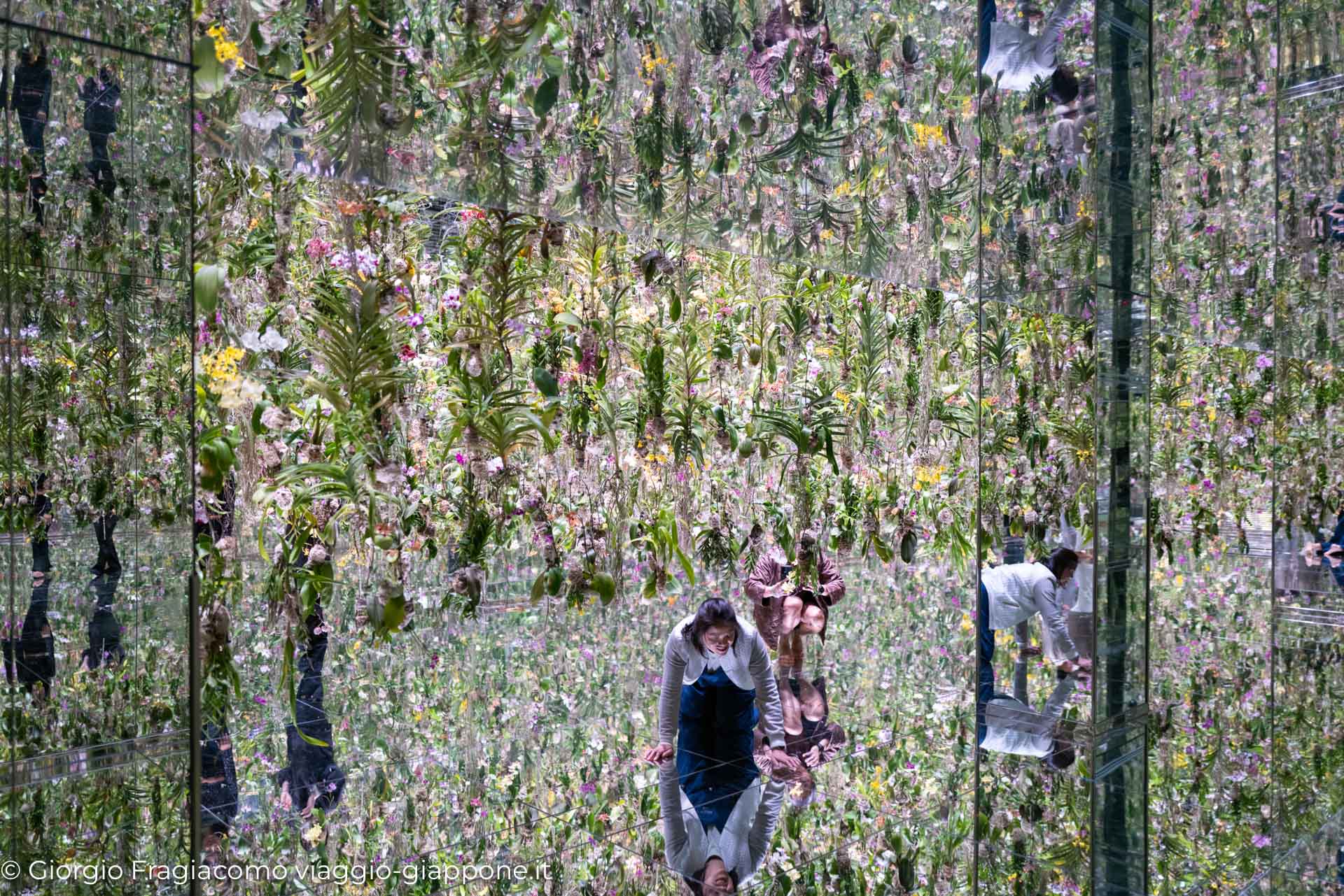 teamLab Planets Tokyo 1090408