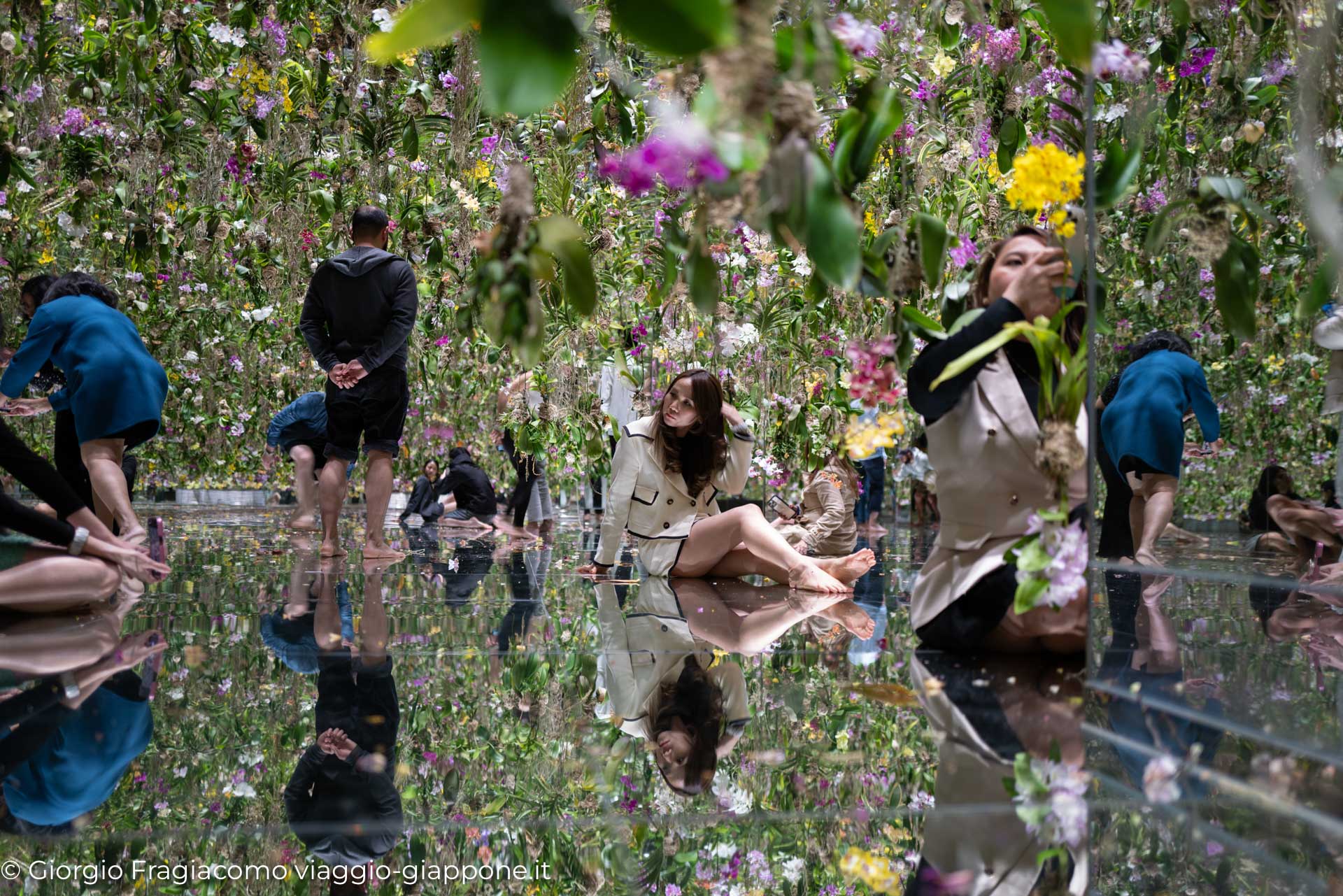 Visita a un'installazione artistica in Giappone, circondati da fiori colorati e riflessi in acqua.