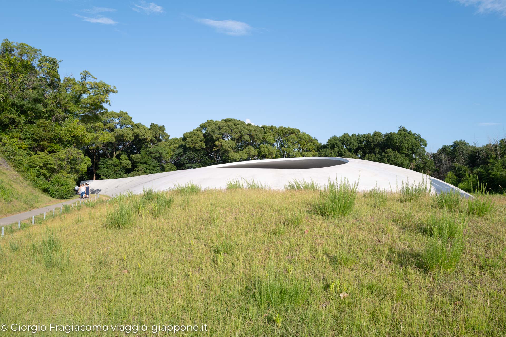 Architettura moderna in Giappone, con una struttura curva immersa nella natura verde e un cielo sereno.