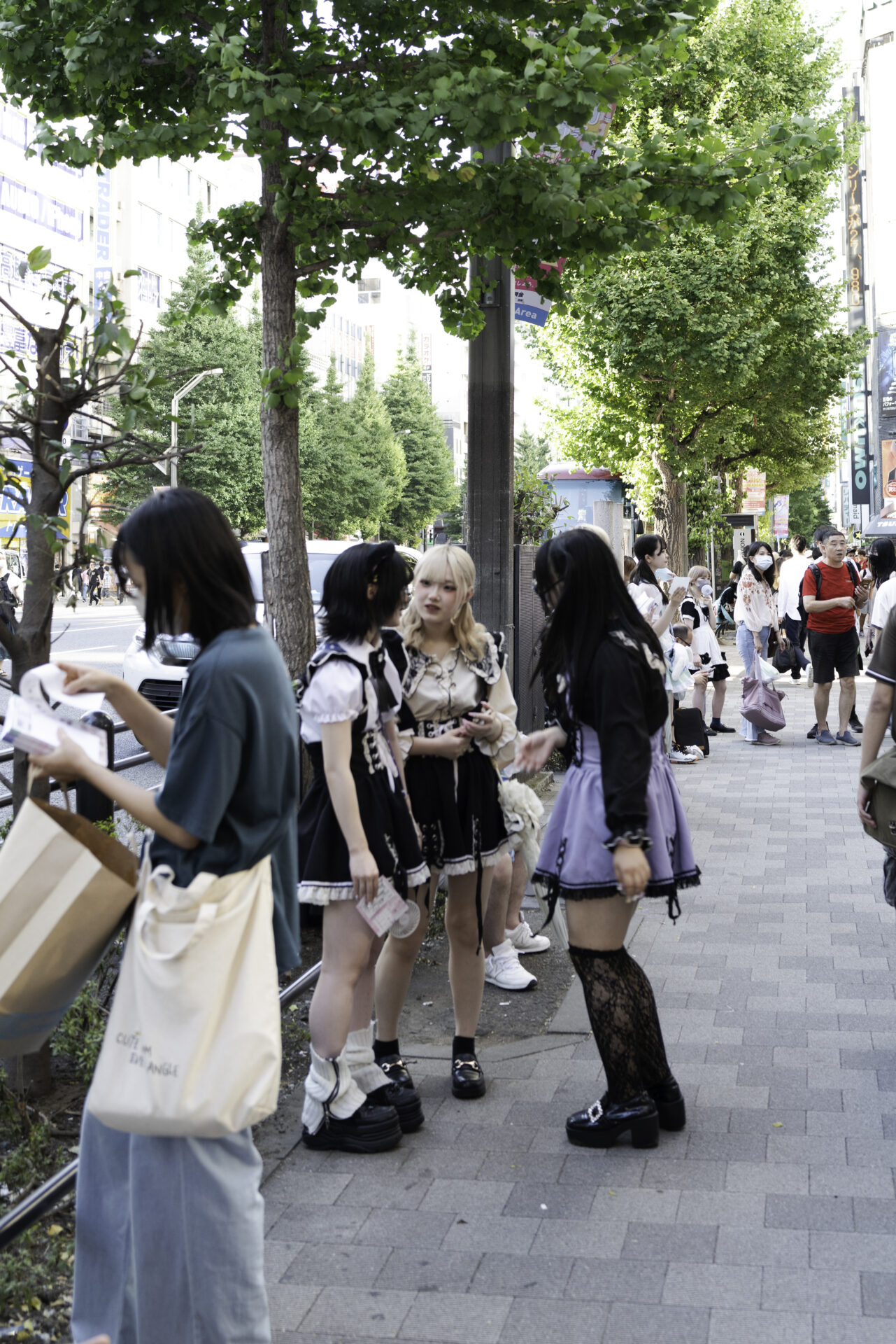 Akihabara Con la Mamma 1050712