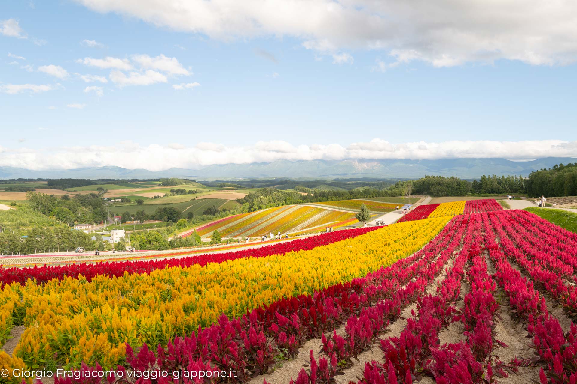 Biei Hokkaido 1110376