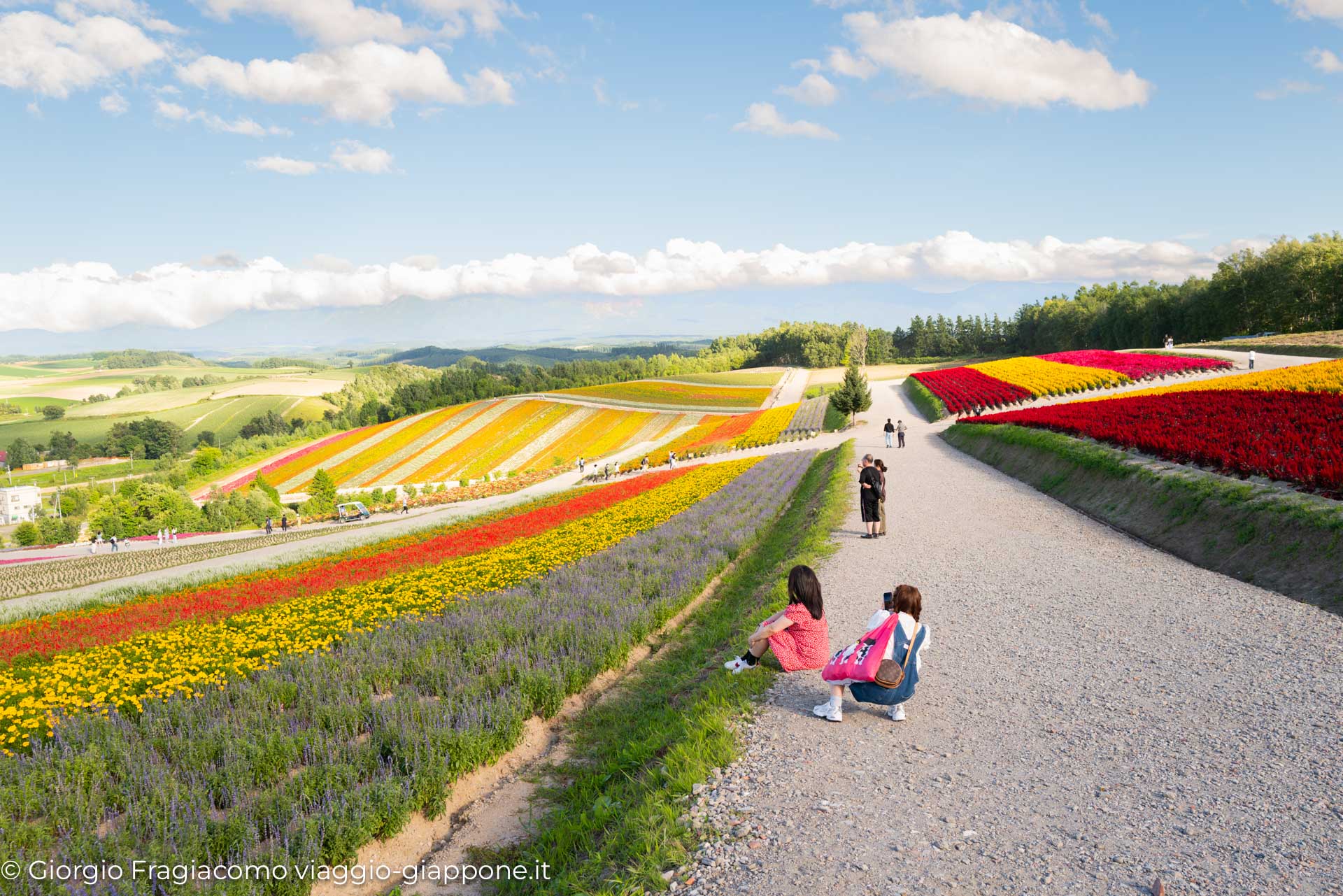 Biei Hokkaido 1110402