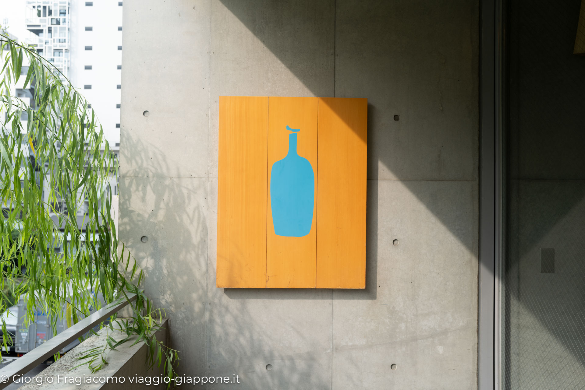 Blue bottle coffee Omotesando 1040494