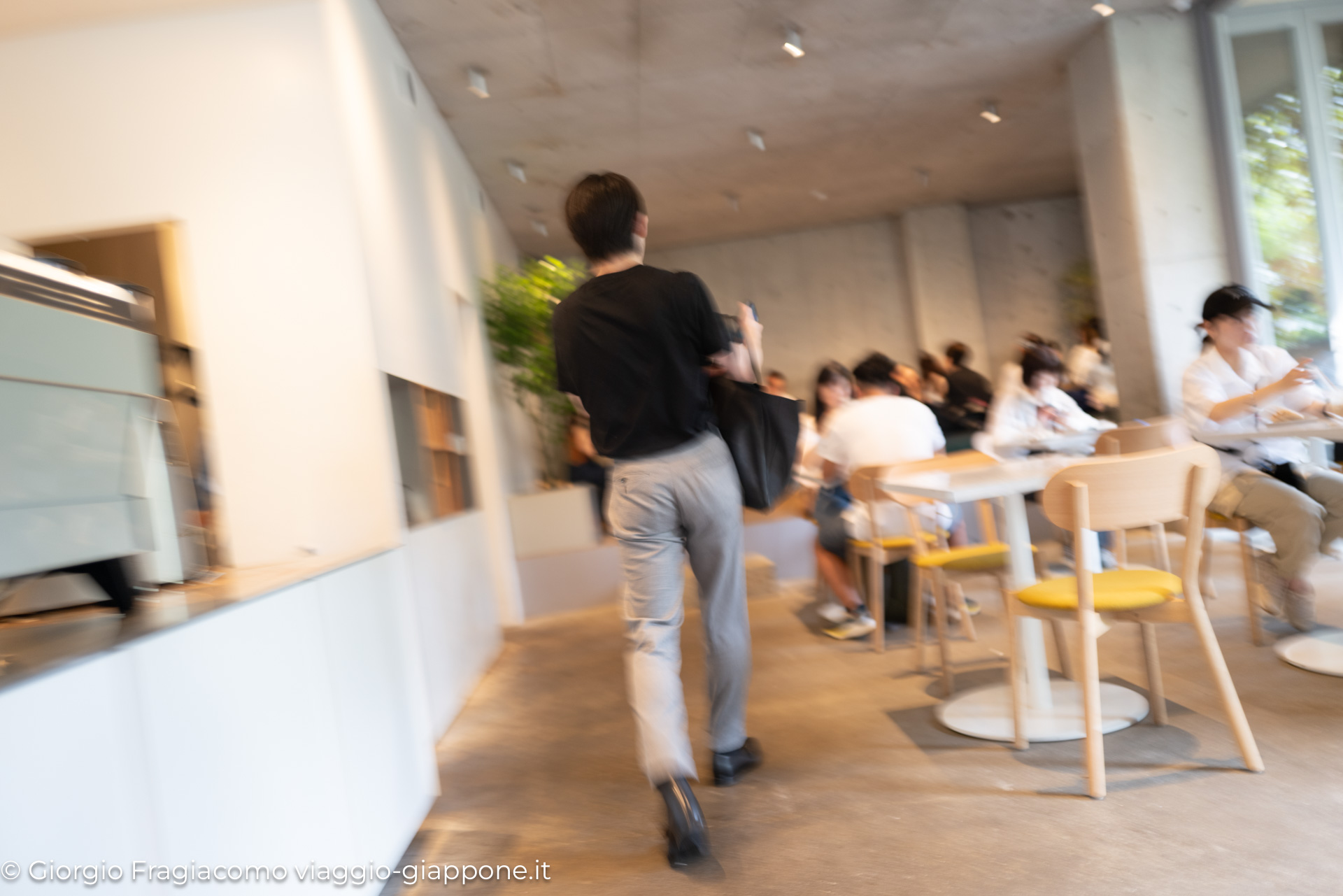 Blue bottle coffee Omotesando 1040502