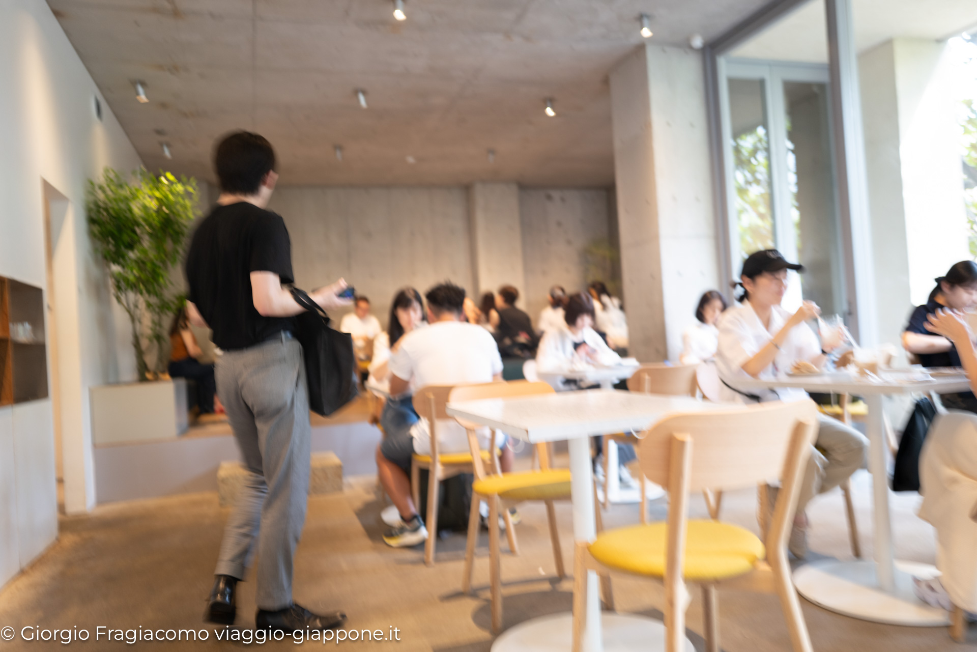 Blue bottle coffee Omotesando 1040503