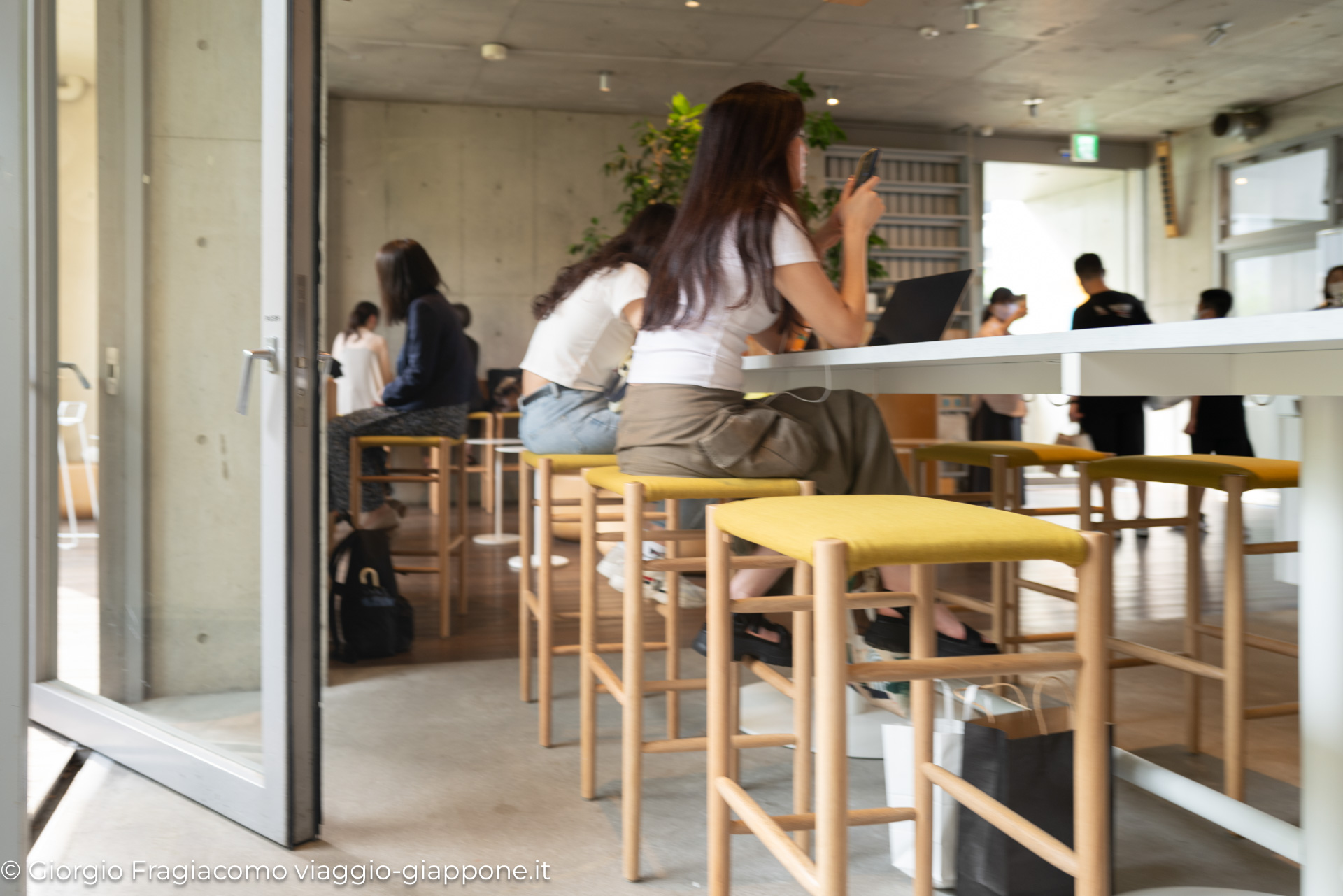 Blue bottle coffee Omotesando 1040506