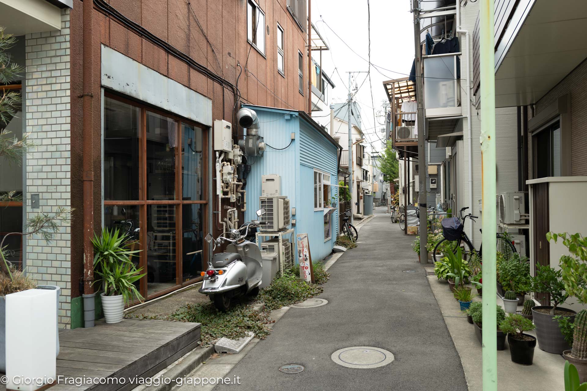 Cafes of Kiyosumi Shirakawa 1040643