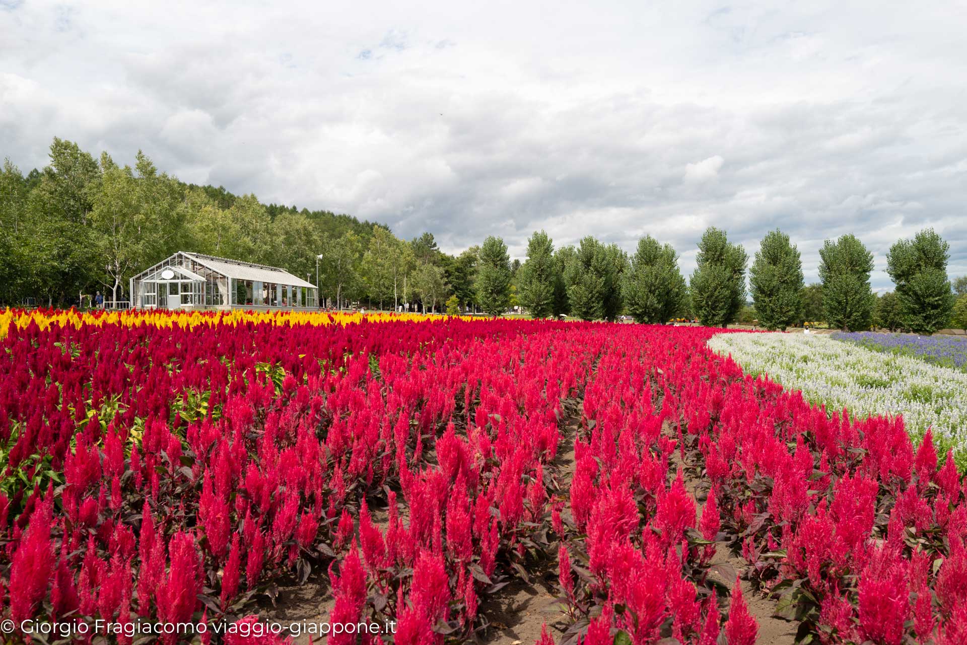 Furano 1110812