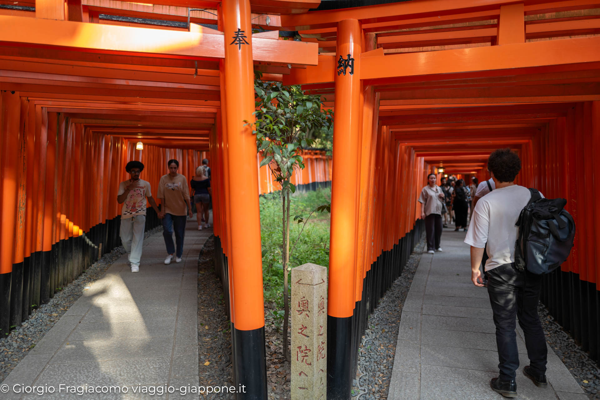 Fushimi Inari in Kyoto con la Mamma 1060672