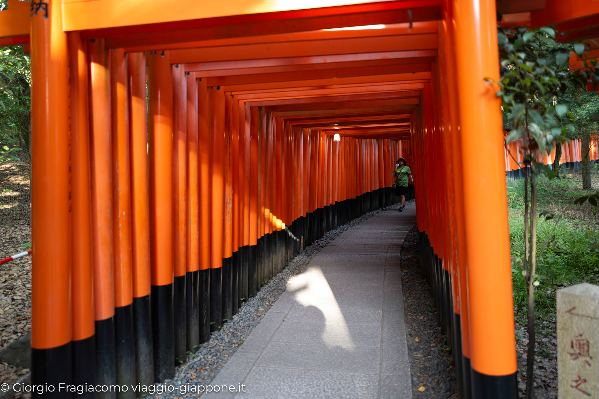 Fushimi Inari in Kyoto con la Mamma 1060673