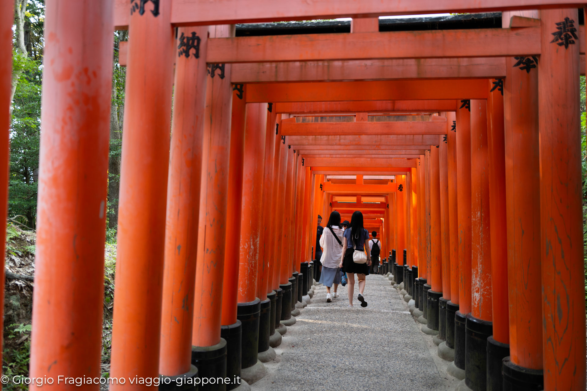 Fushimi Inari in Kyoto con la Mamma 1060676